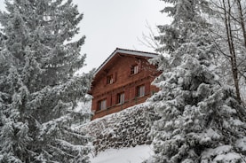 A cozy luxury ski chalet nestled in snow-covered pine trees.