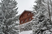 A rustic wooden chalet surrounded by snow-covered pine trees and a stone retaining wall, nestled in a serene winter landscape.