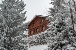 A rustic wooden chalet surrounded by snow-covered pine trees and a stone retaining wall, nestled in a serene winter landscape.
