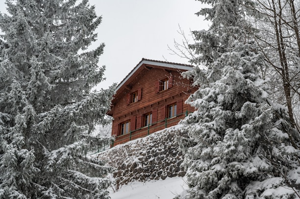 Cozy mountain chalet surrounded by pine trees and snow-covered peaks in Albania.