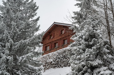 A rustic wooden chalet surrounded by snow-covered pine trees and a stone retaining wall, nestled in a serene winter landscape.