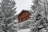 A cozy wooden chalet surrounded by lush green trees in the Mantiqueira mountains.