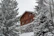 A cozy wooden chalet nestled among pine trees with snow-covered mountains in the background.
