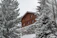 Cozy modular chalet with large glass facade and wooden terrace surrounded by trees.