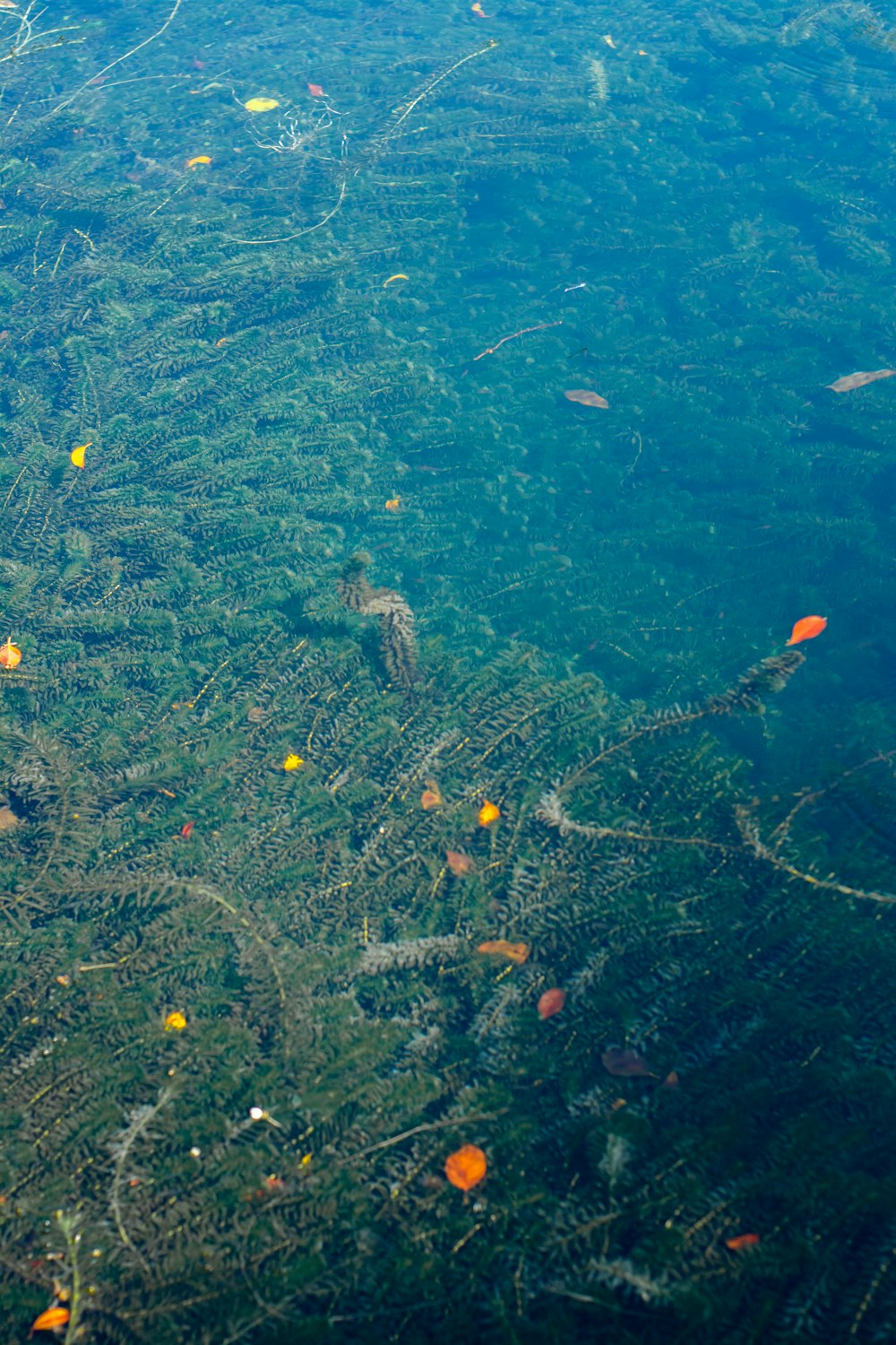 an aerial view of a body of water