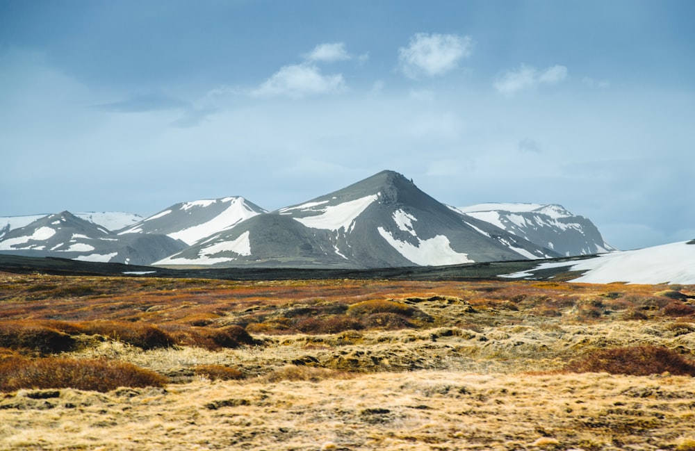 a mountain range covered in snow and brown grass