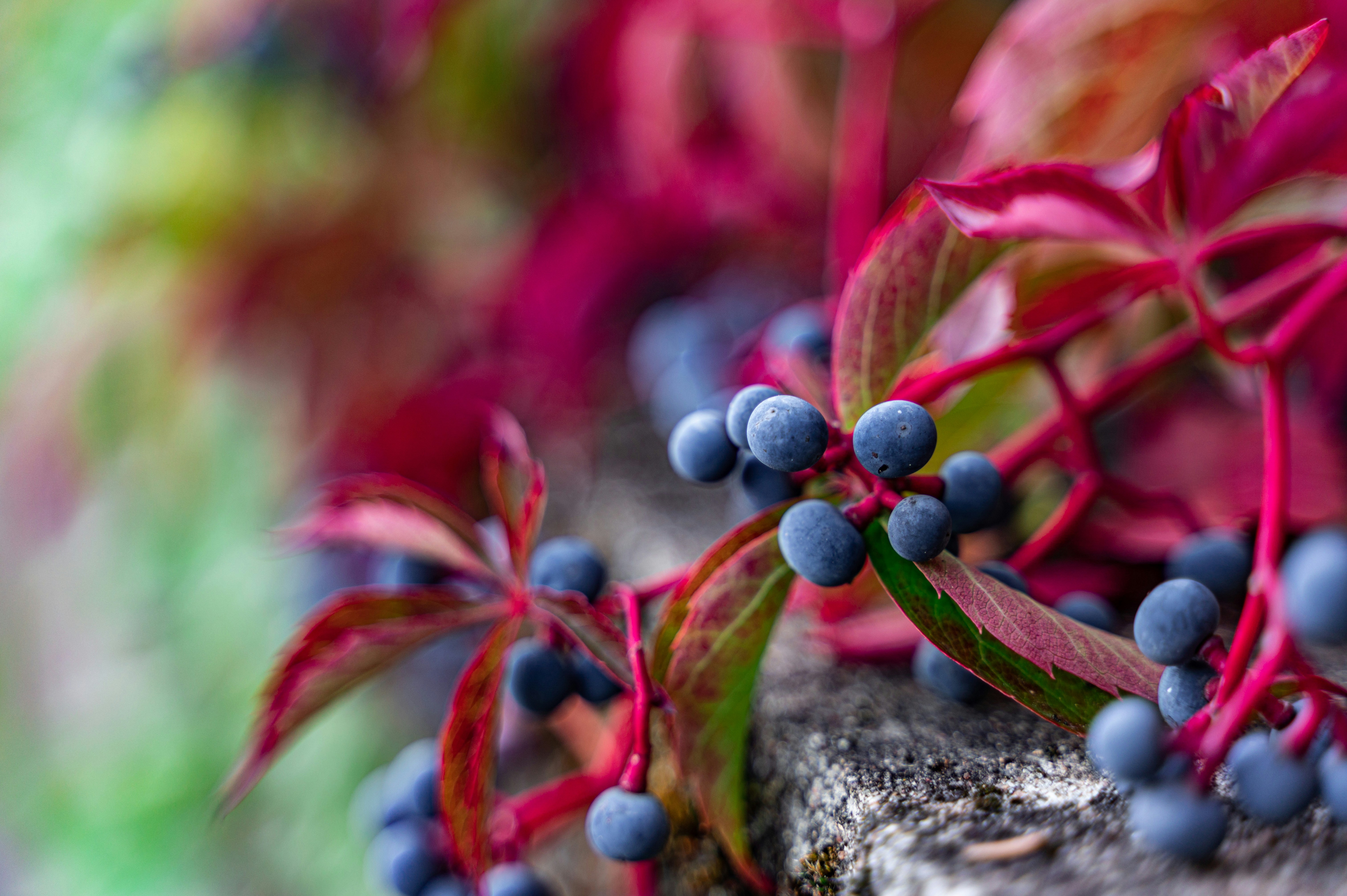 Photo by andreasbrun