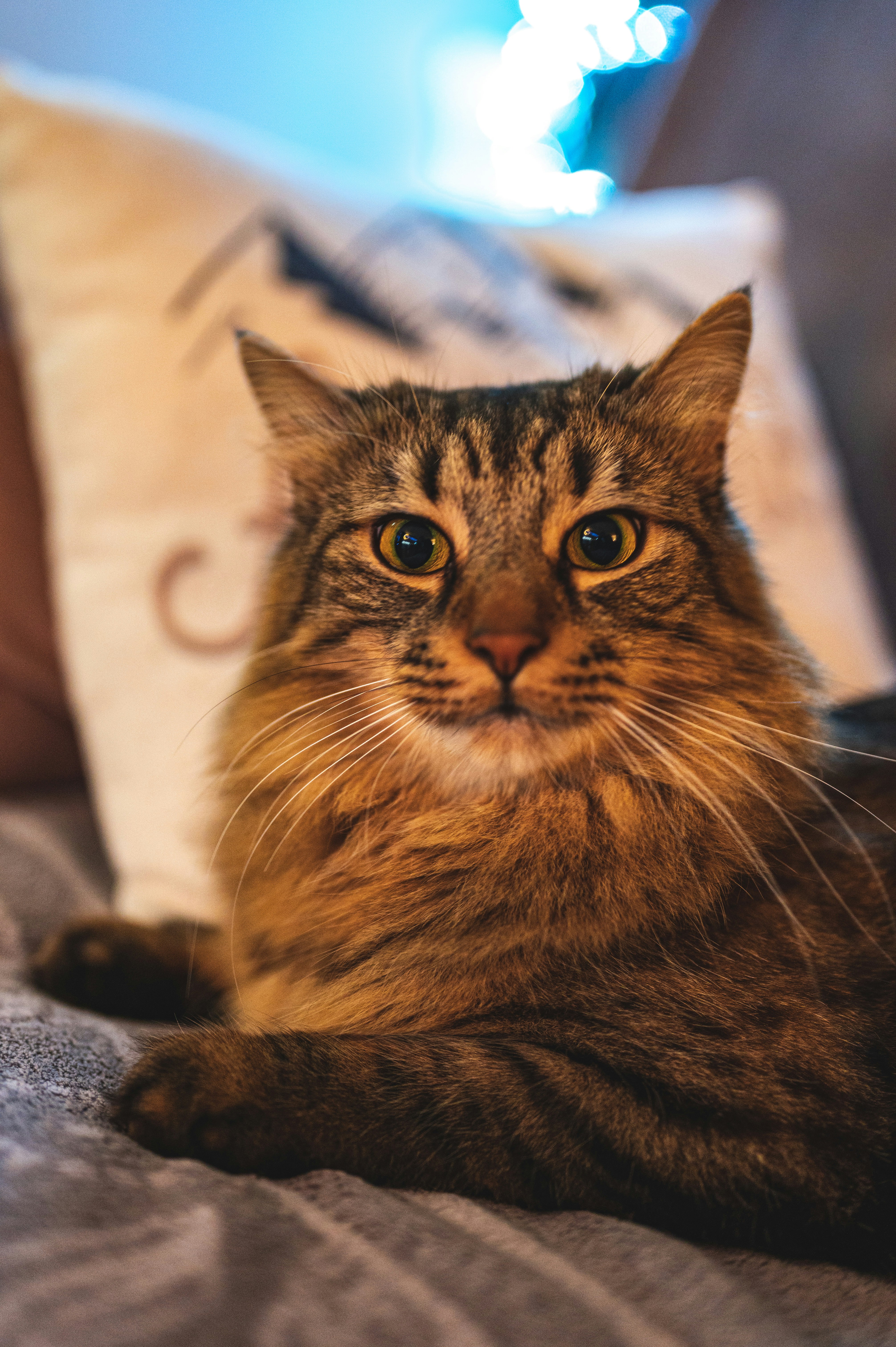 Photo by andreasbrun