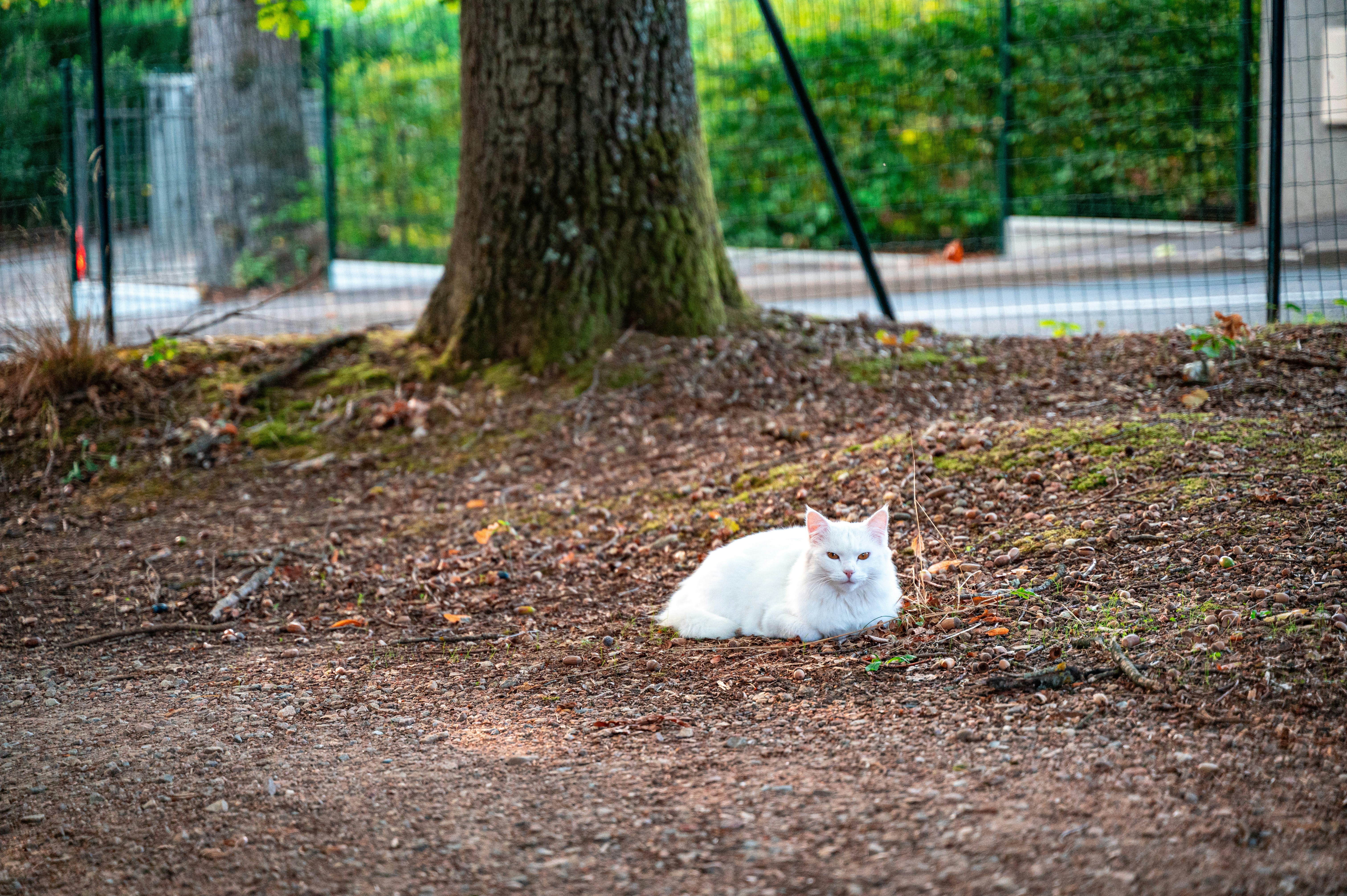 Photo by andreasbrun