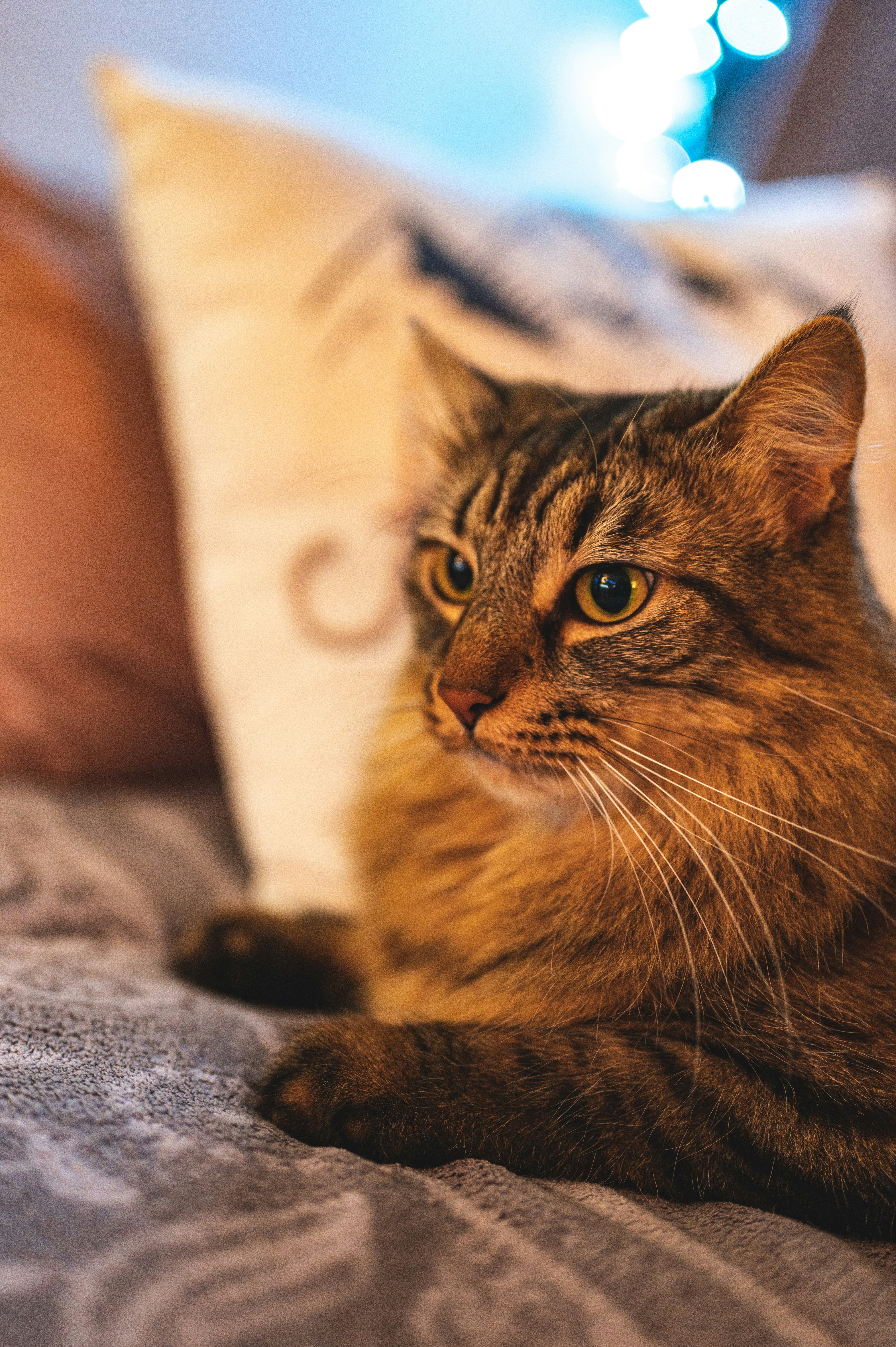 Photo by andreasbrun