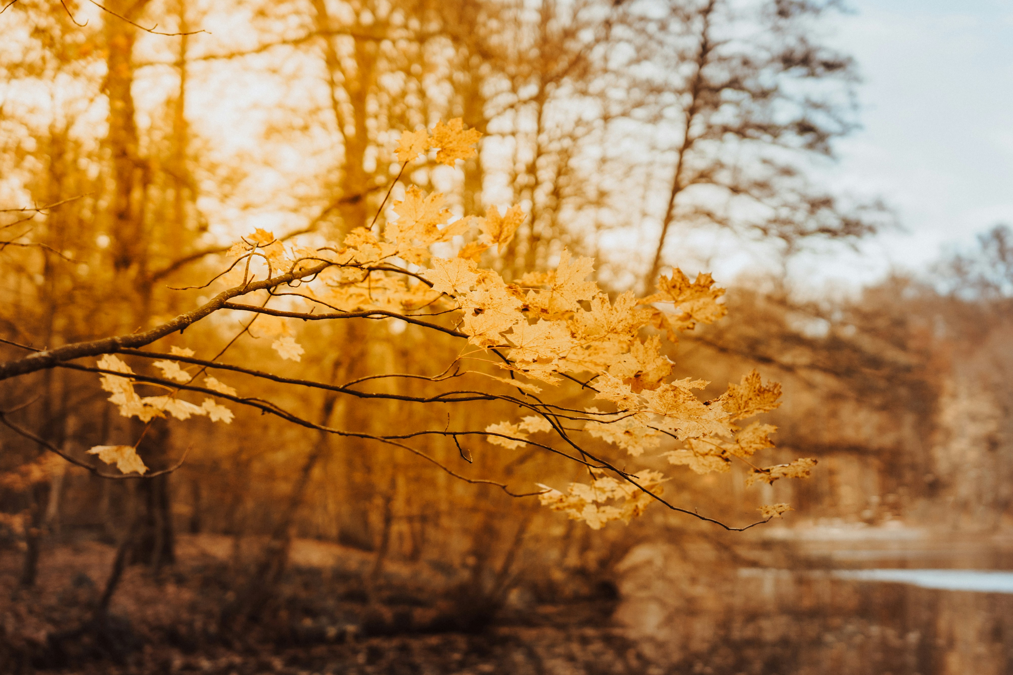 Photo by masoodaslami