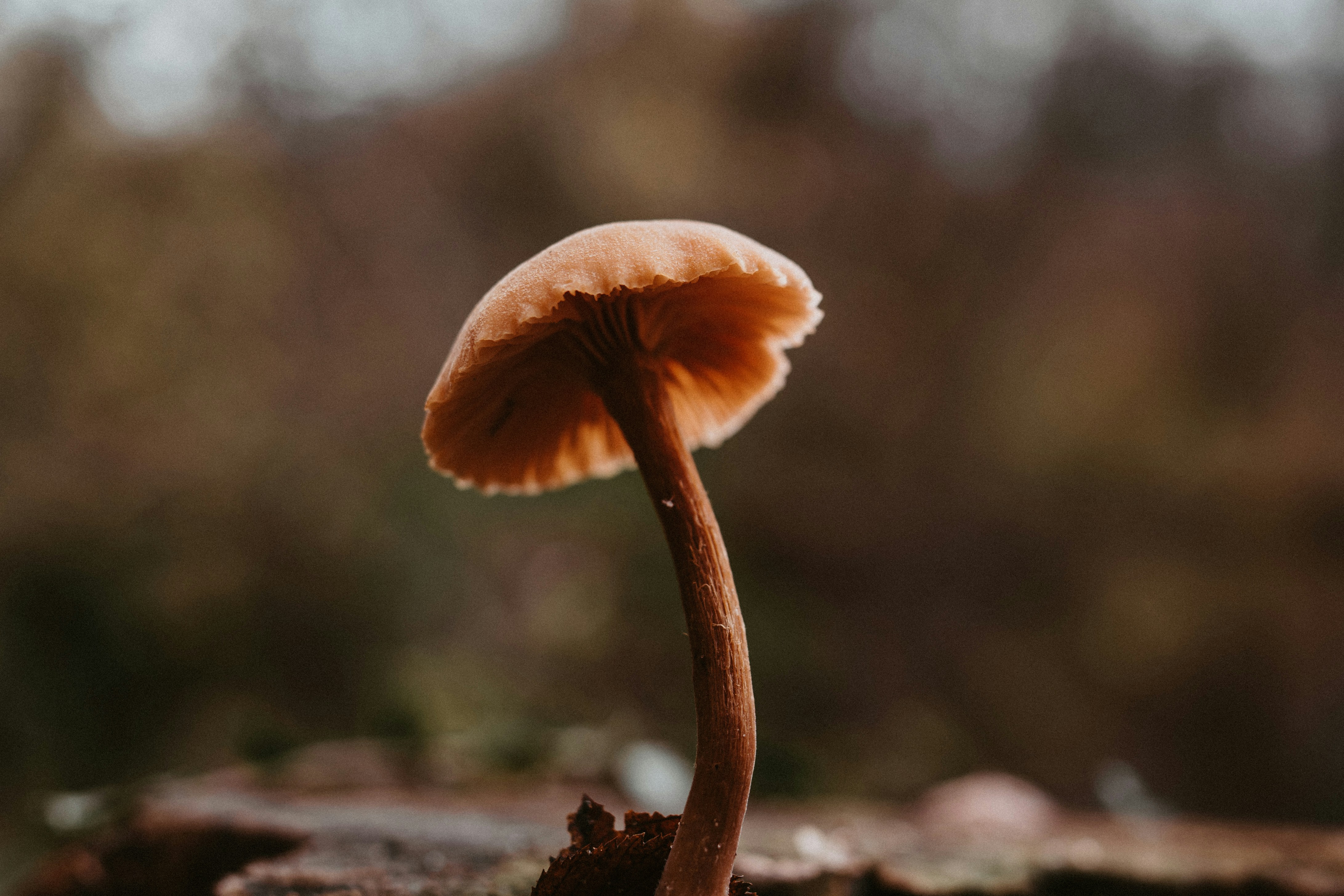 Photo by masoodaslami