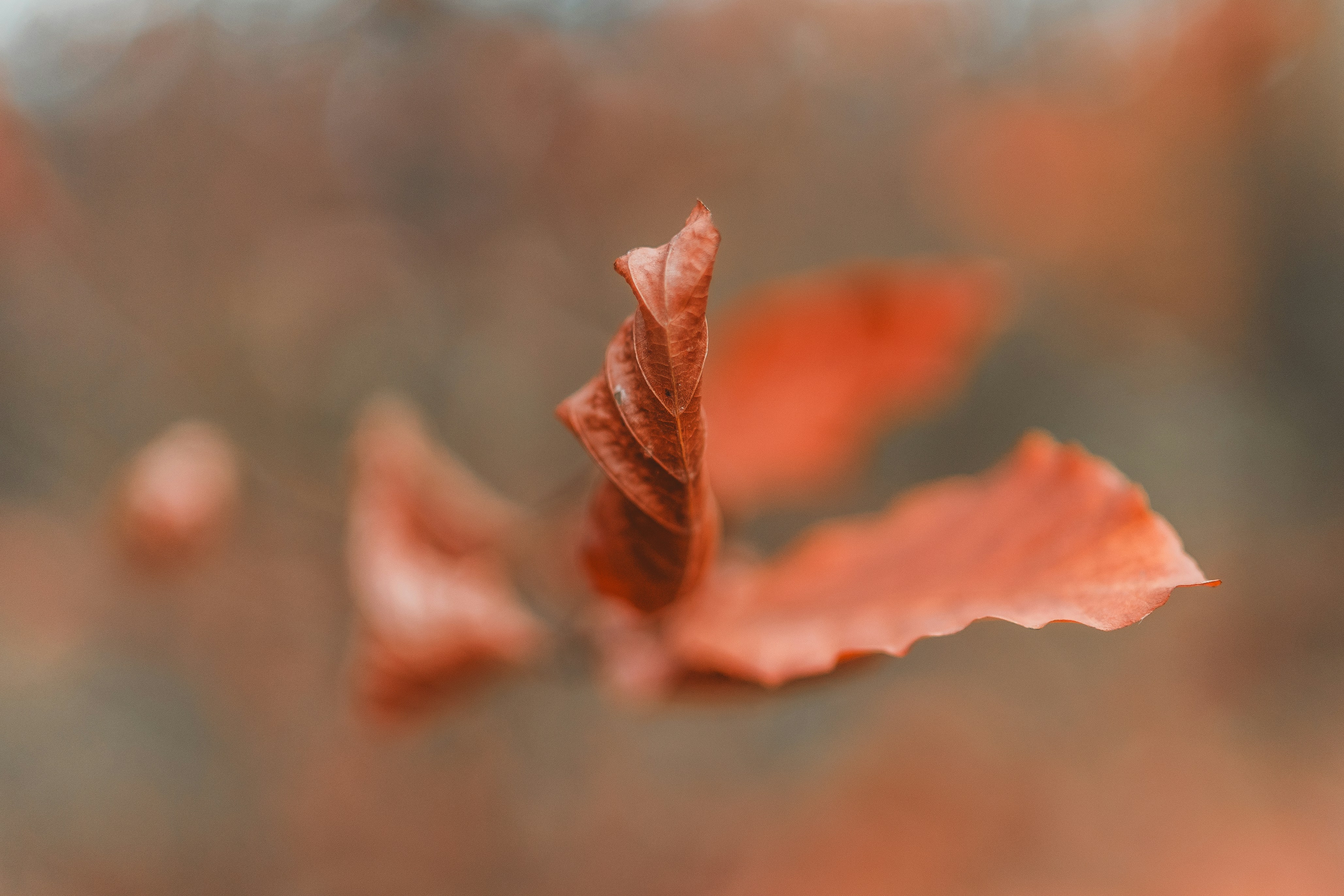 Photo by masoodaslami