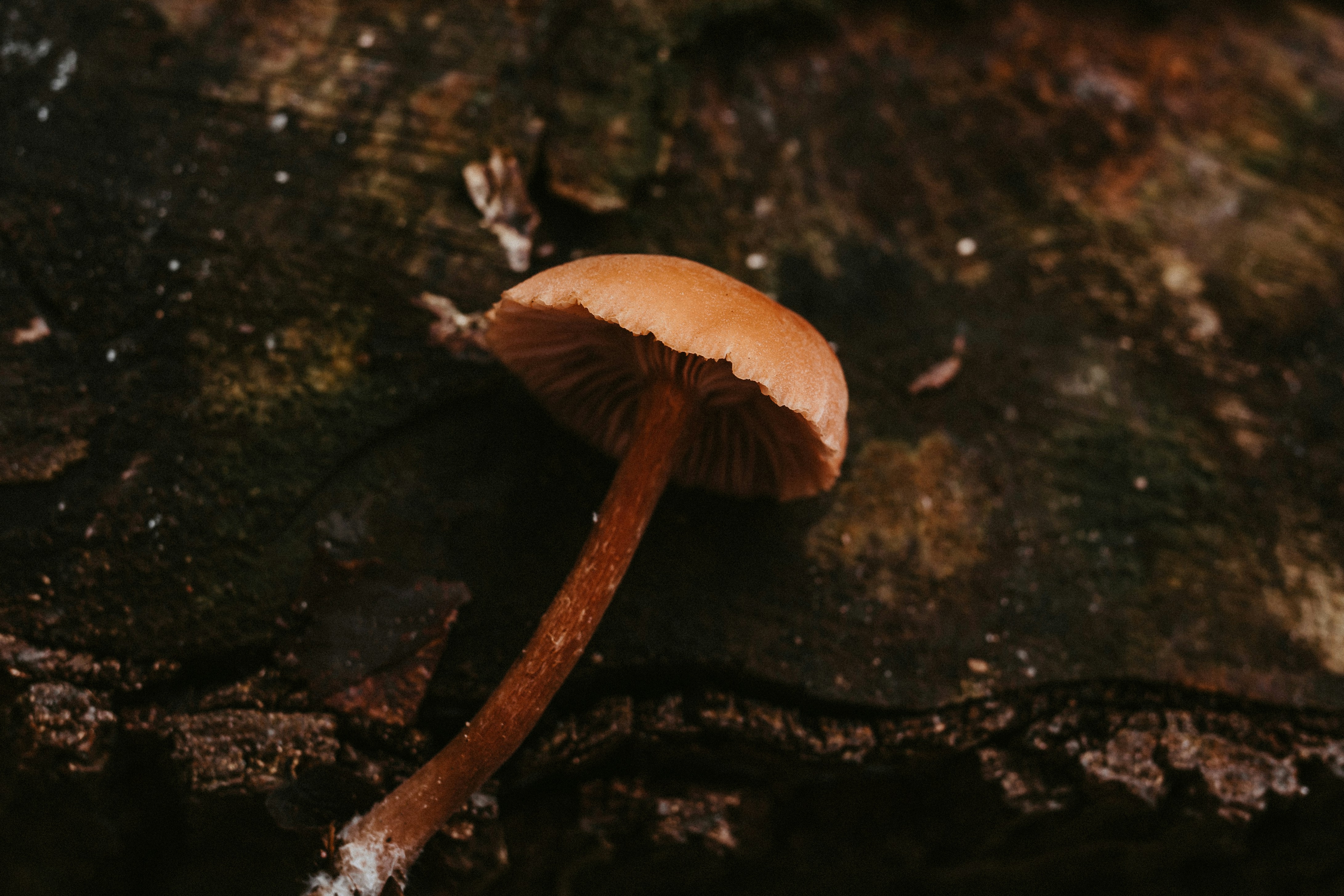 Photo by masoodaslami