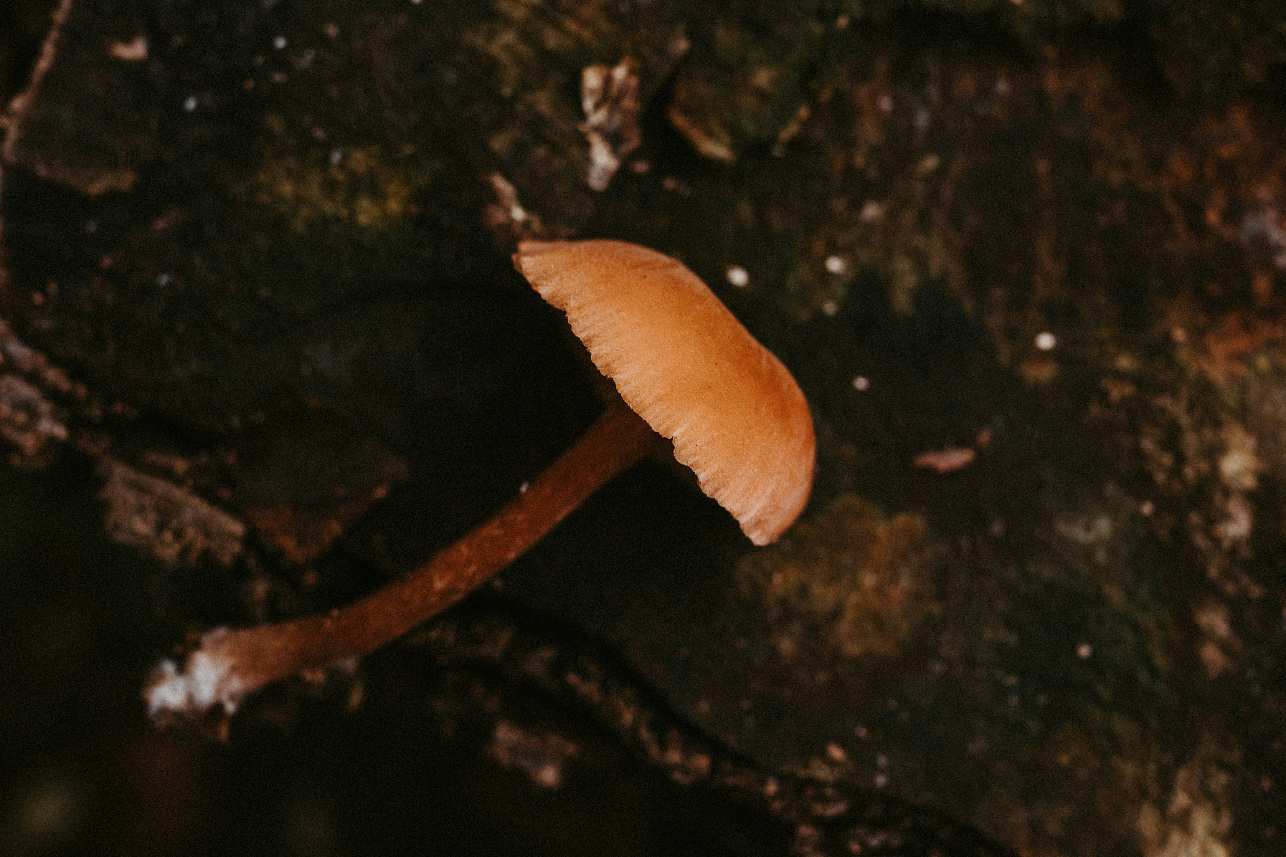 Photo by masoodaslami