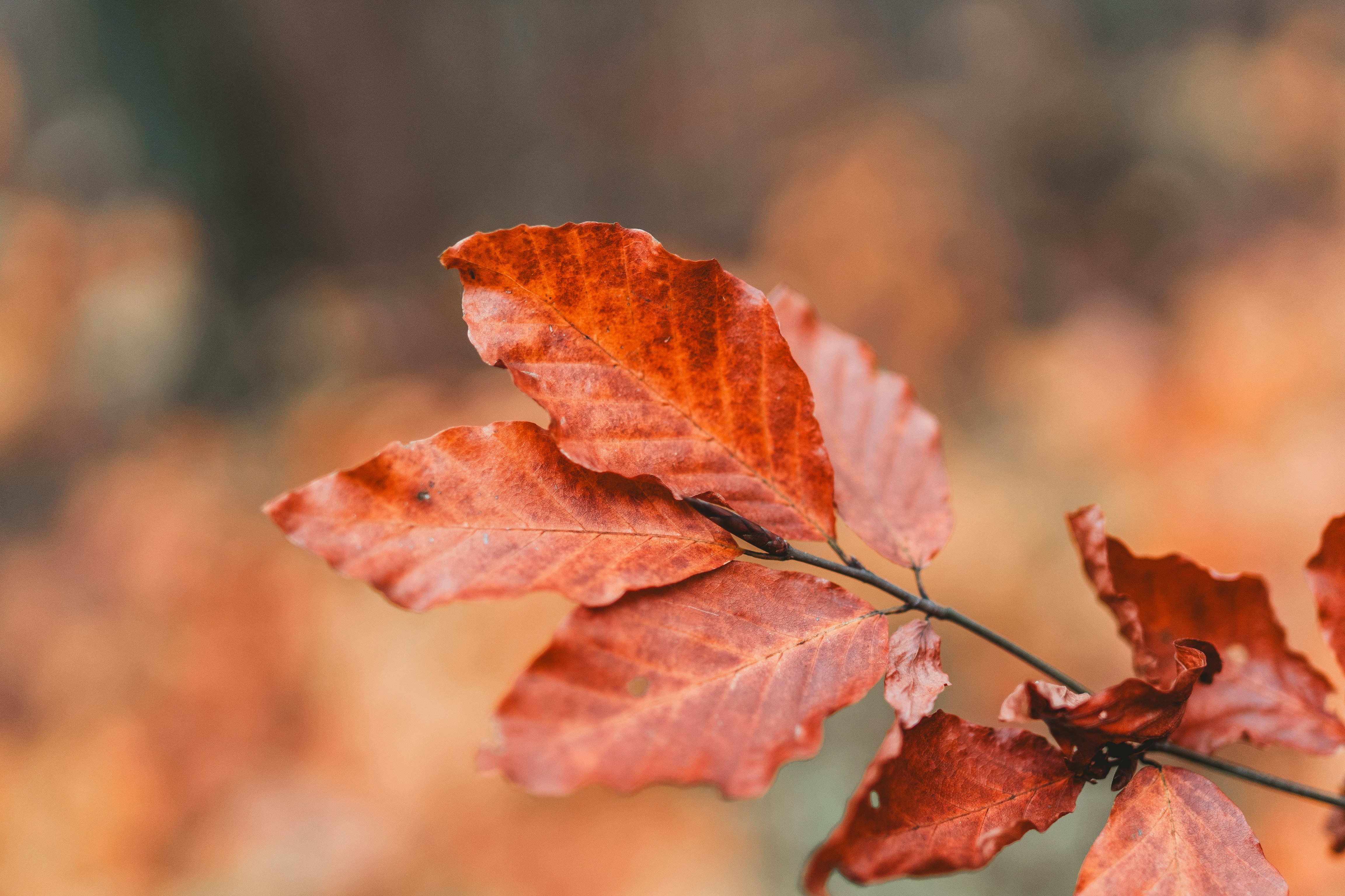 Photo by masoodaslami