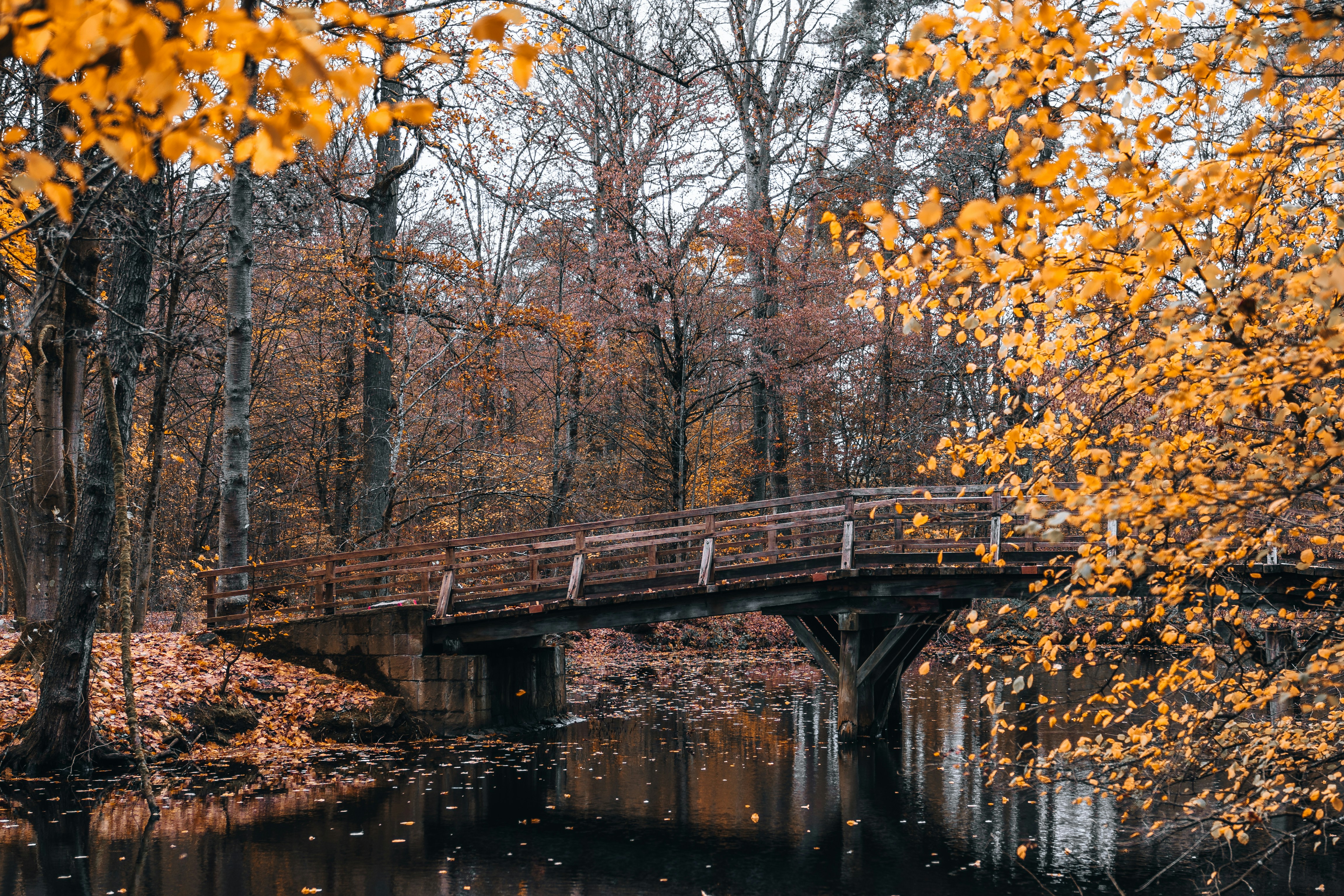 Photo by masoodaslami