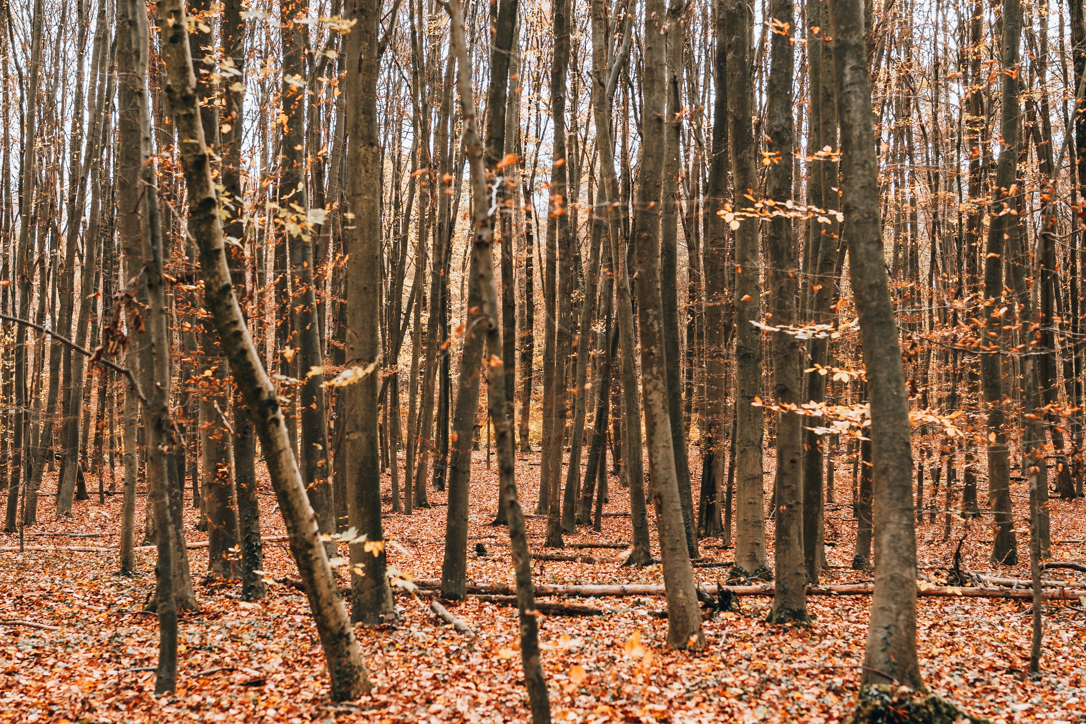 Photo by masoodaslami