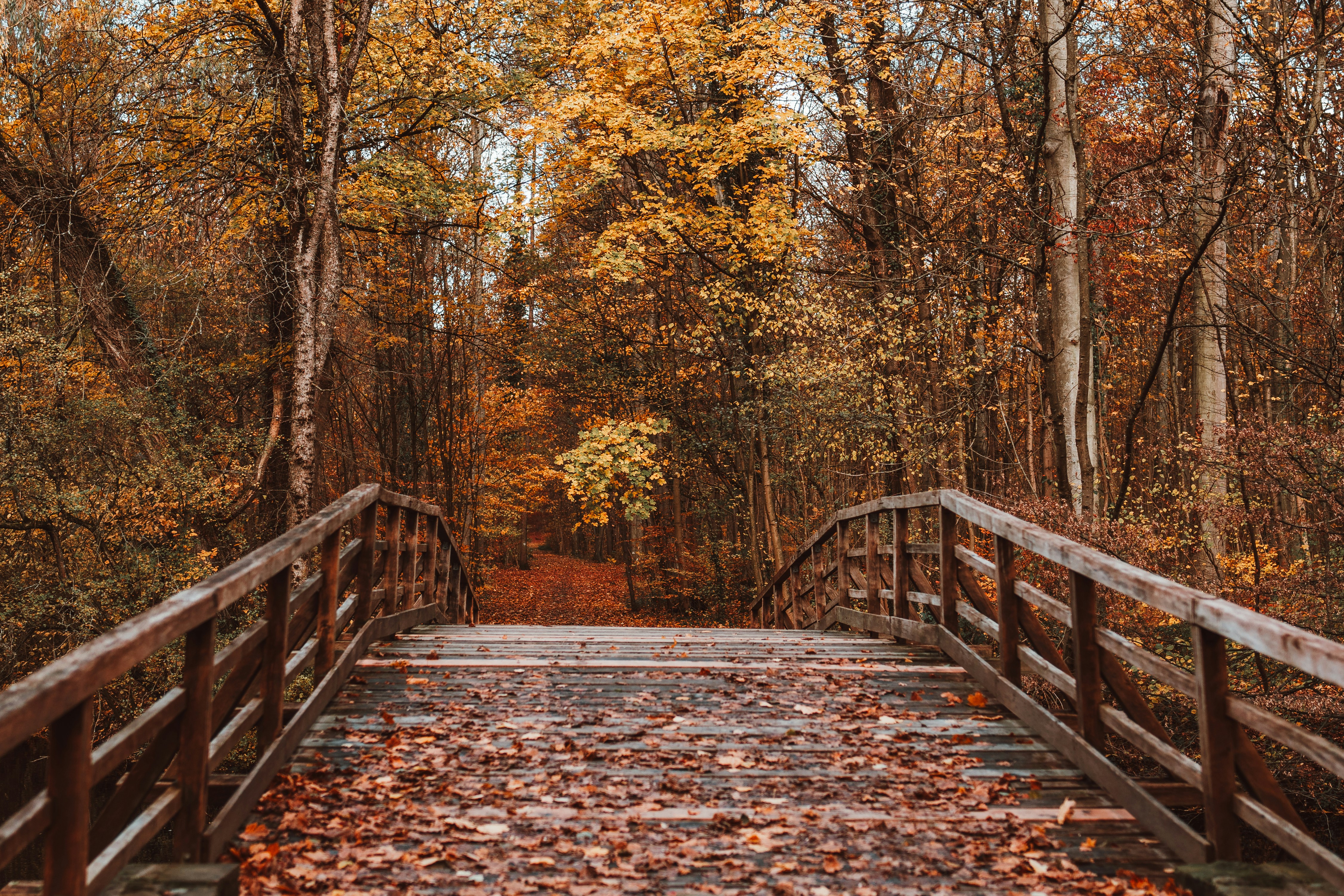 Photo by masoodaslami