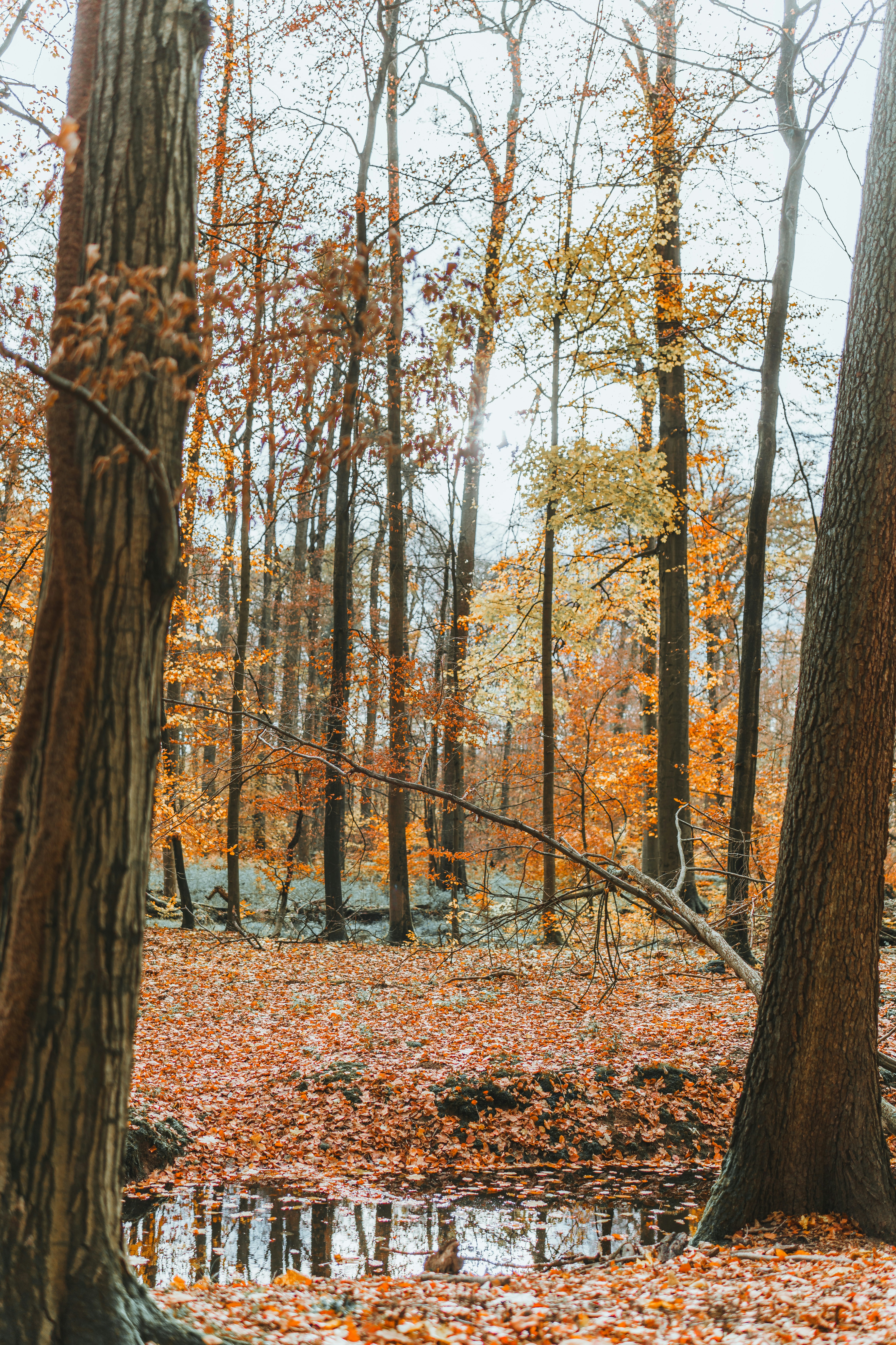 Photo by masoodaslami