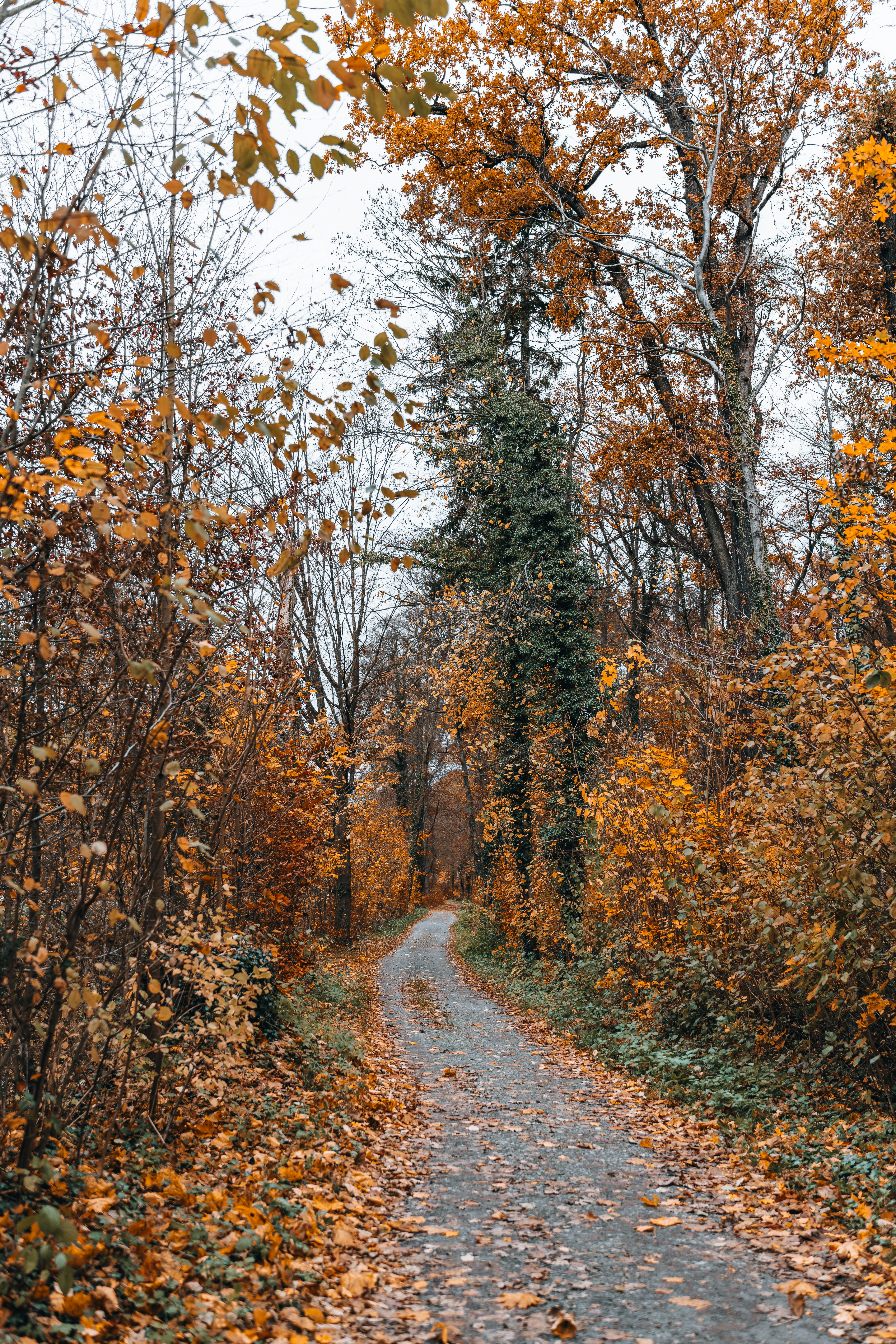 Photo by masoodaslami