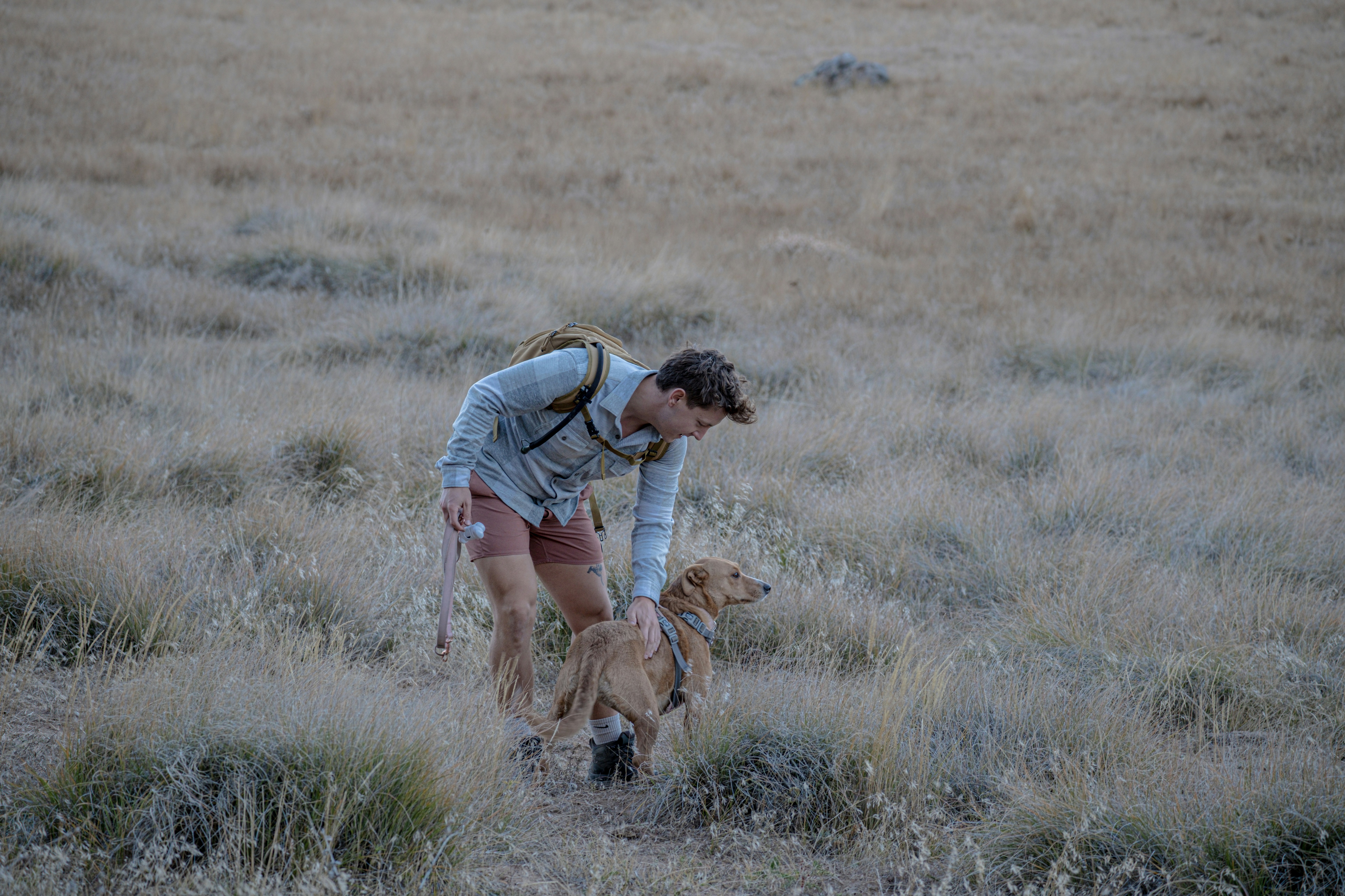 Amicale Canine Ardennaise (Warcq) — Warcq