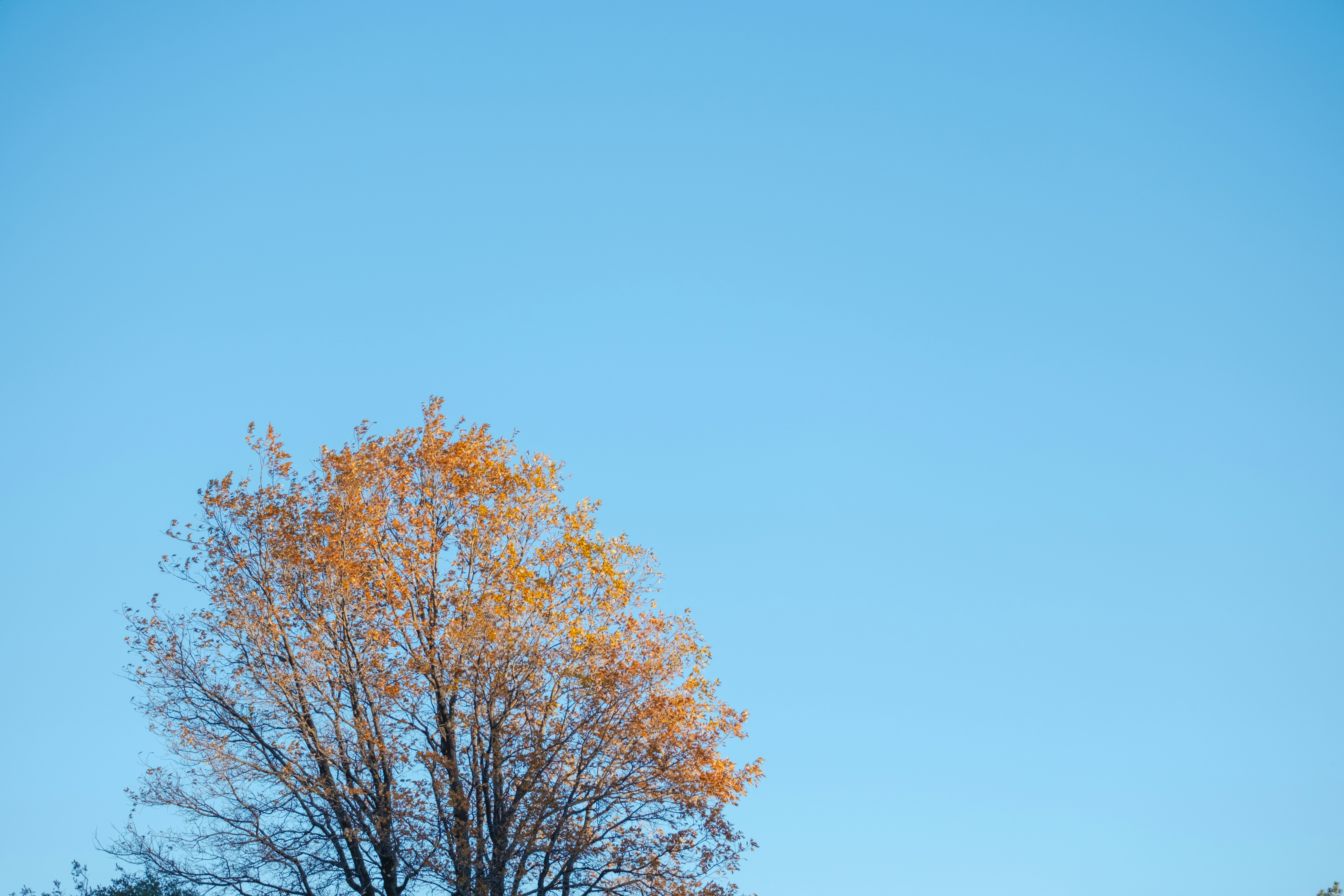 Photo by cestmoisheedy