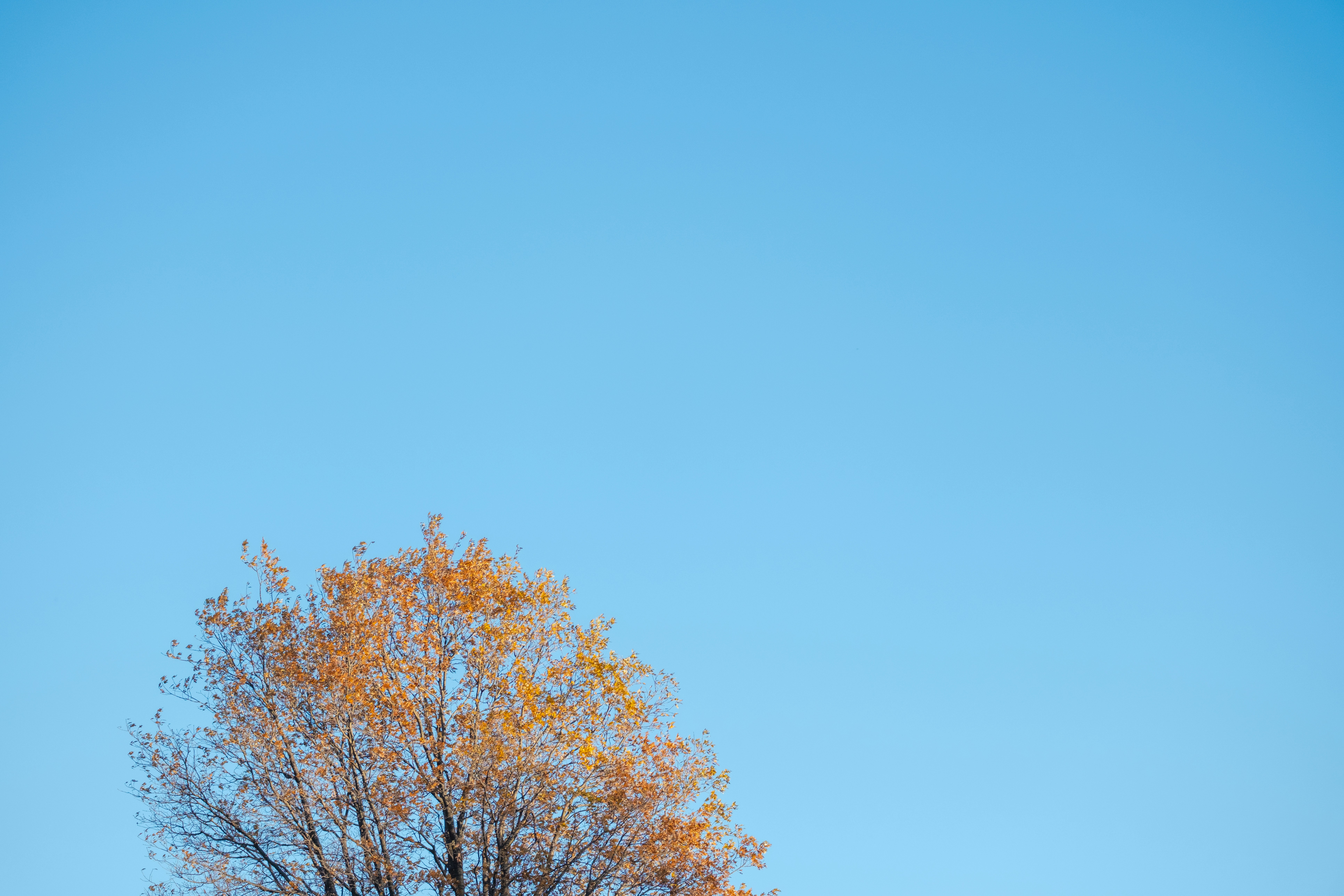 Photo by cestmoisheedy