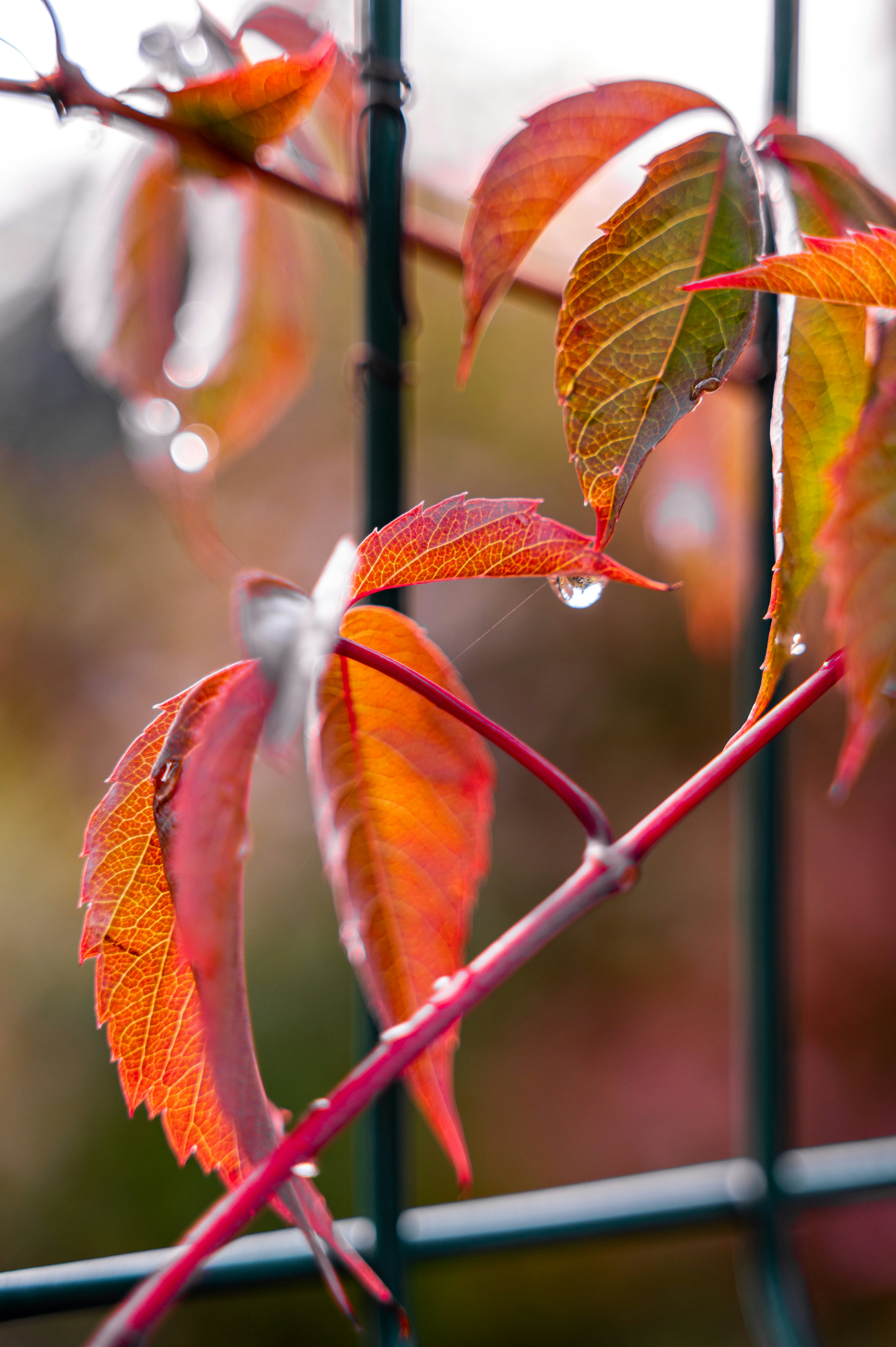 Photo by andreasbrun