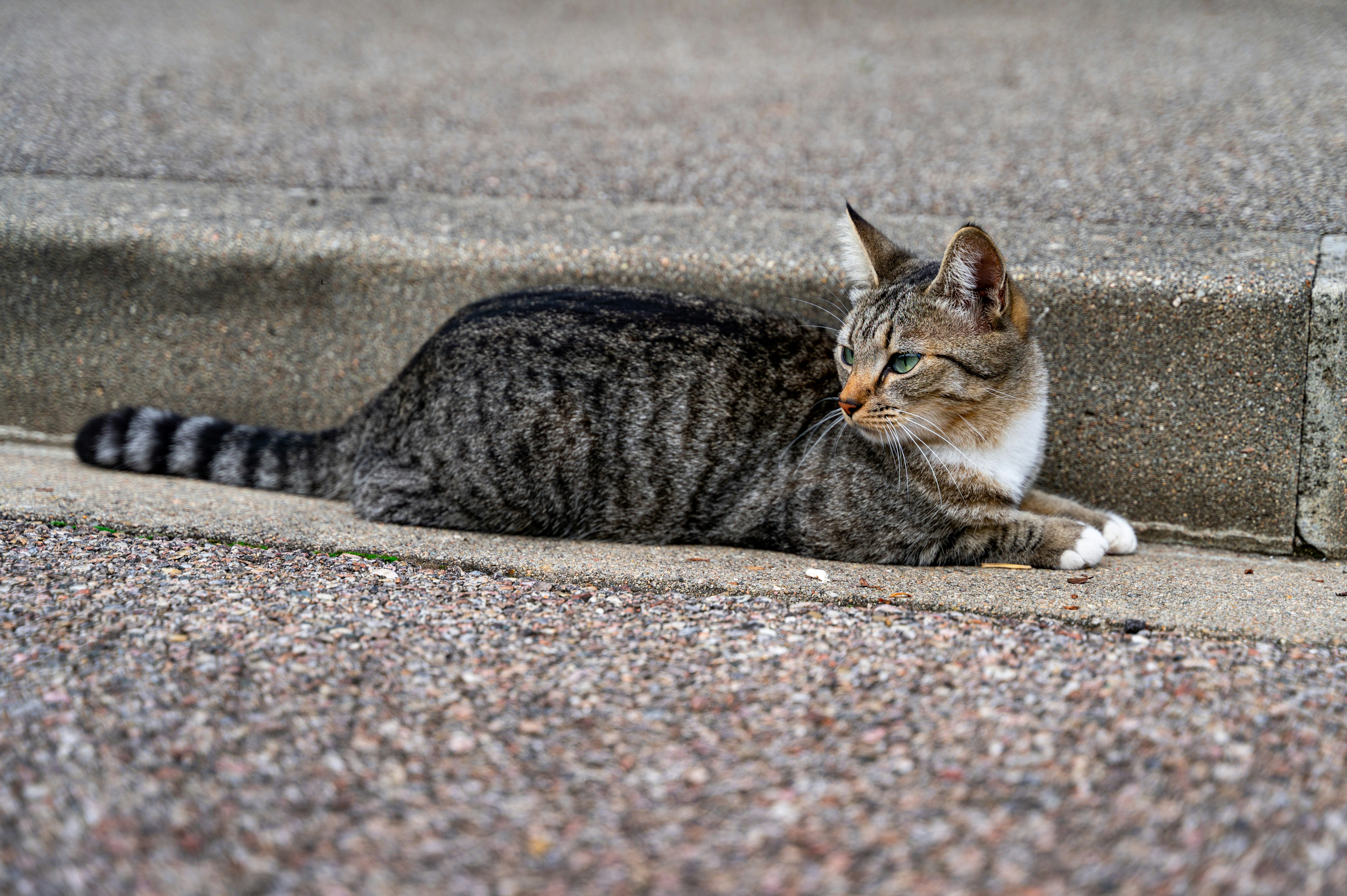 Photo by andreasbrun