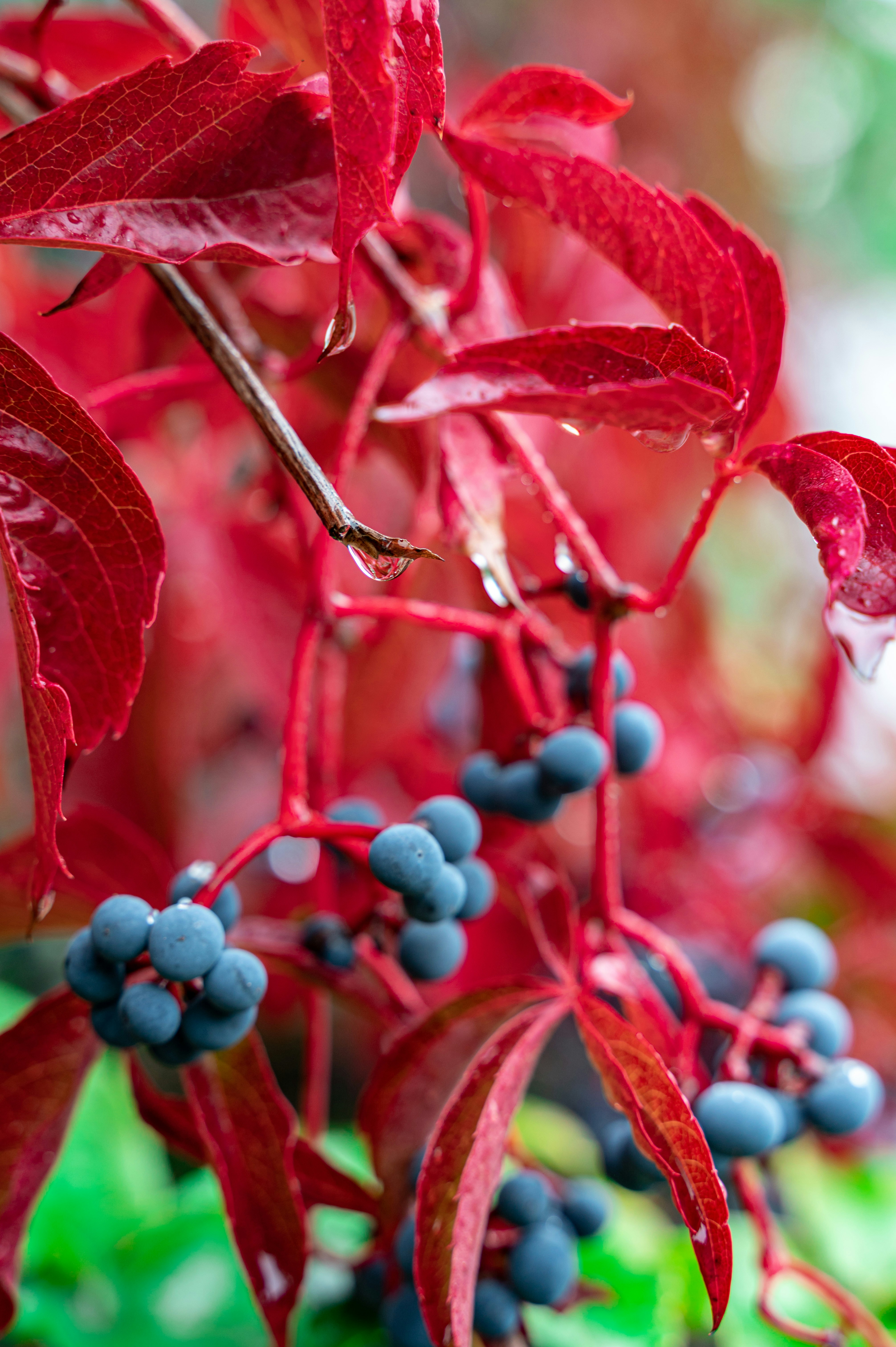 Photo by andreasbrun