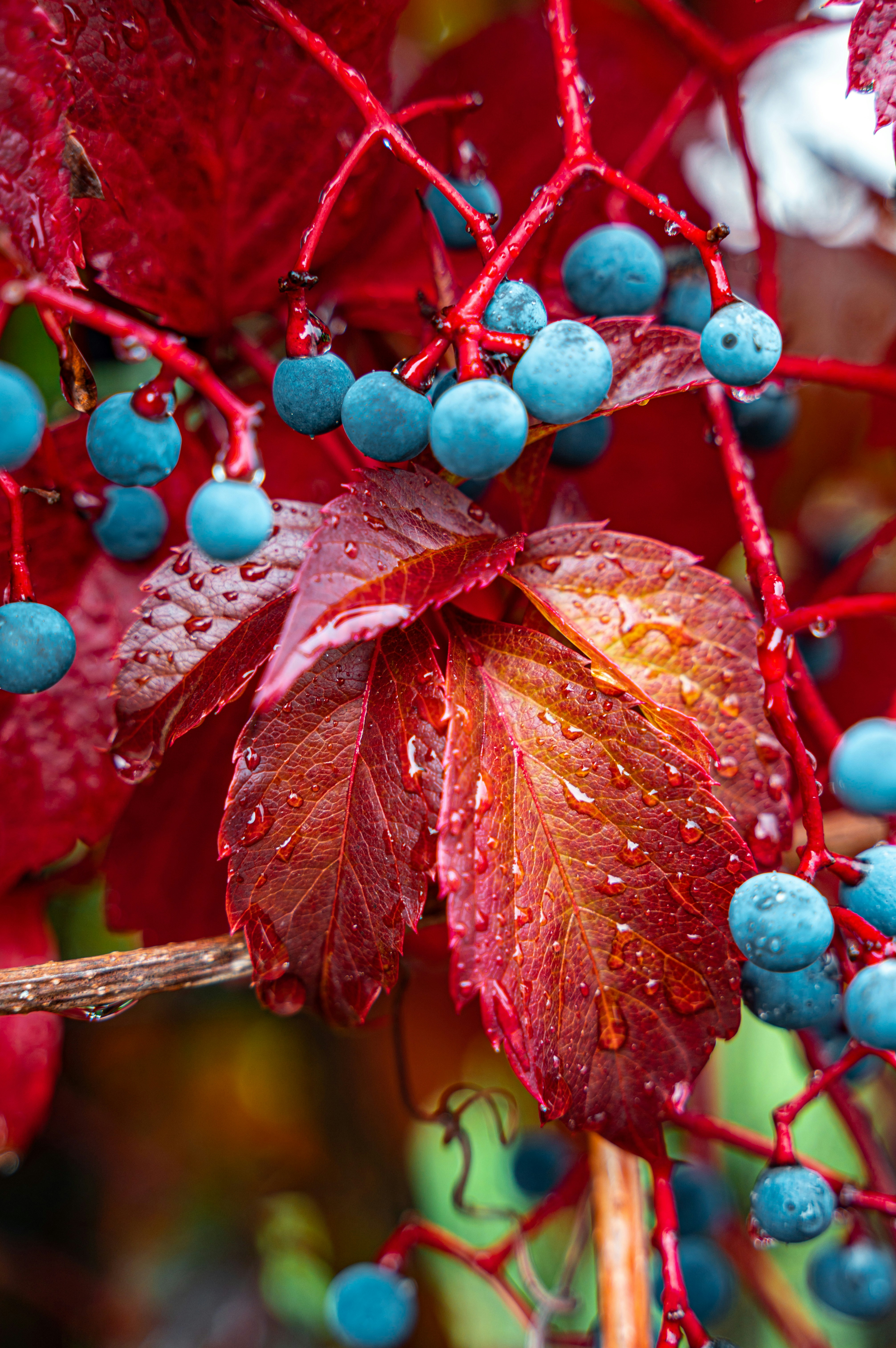 Photo by andreasbrun