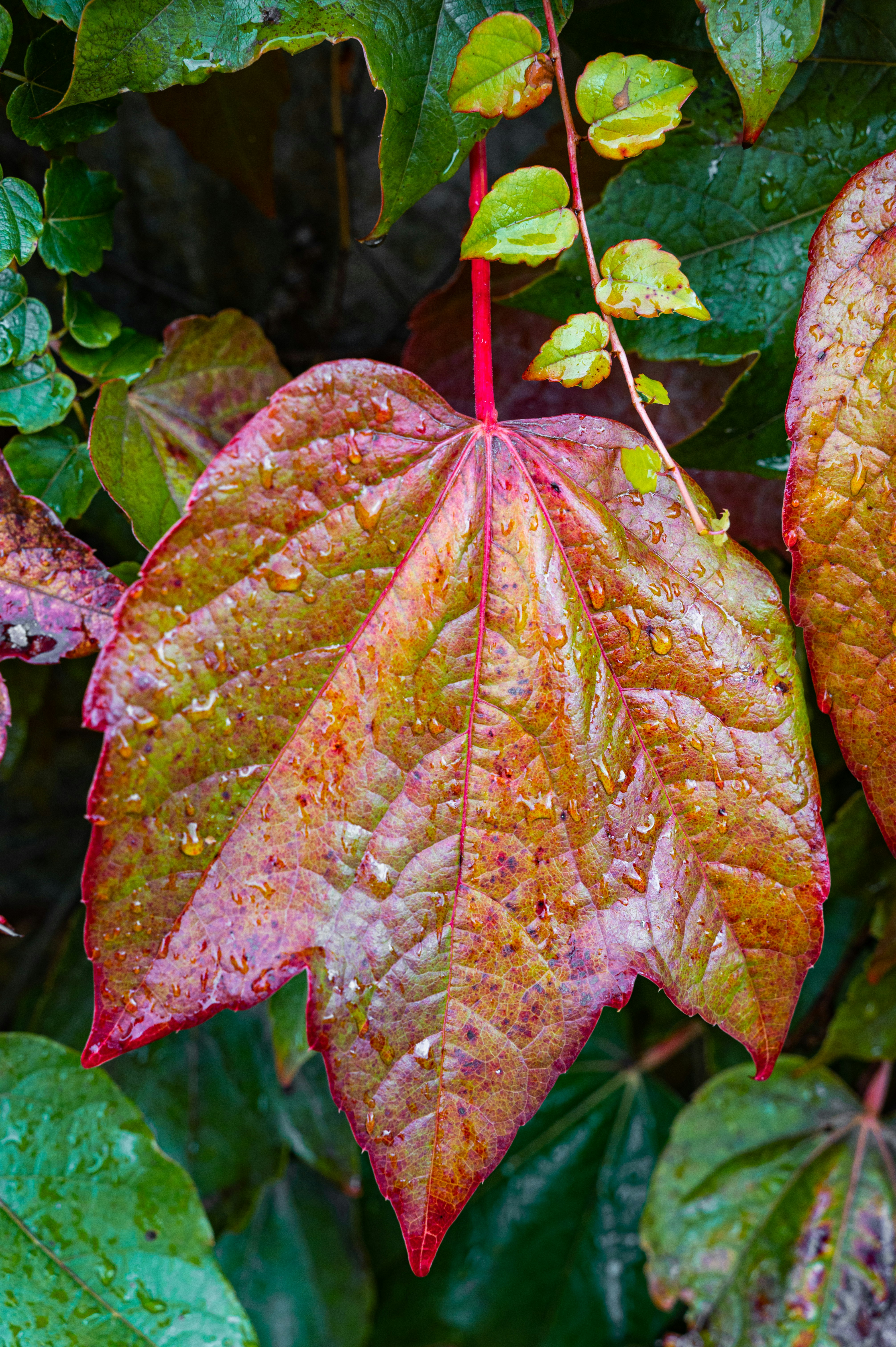 Photo by andreasbrun