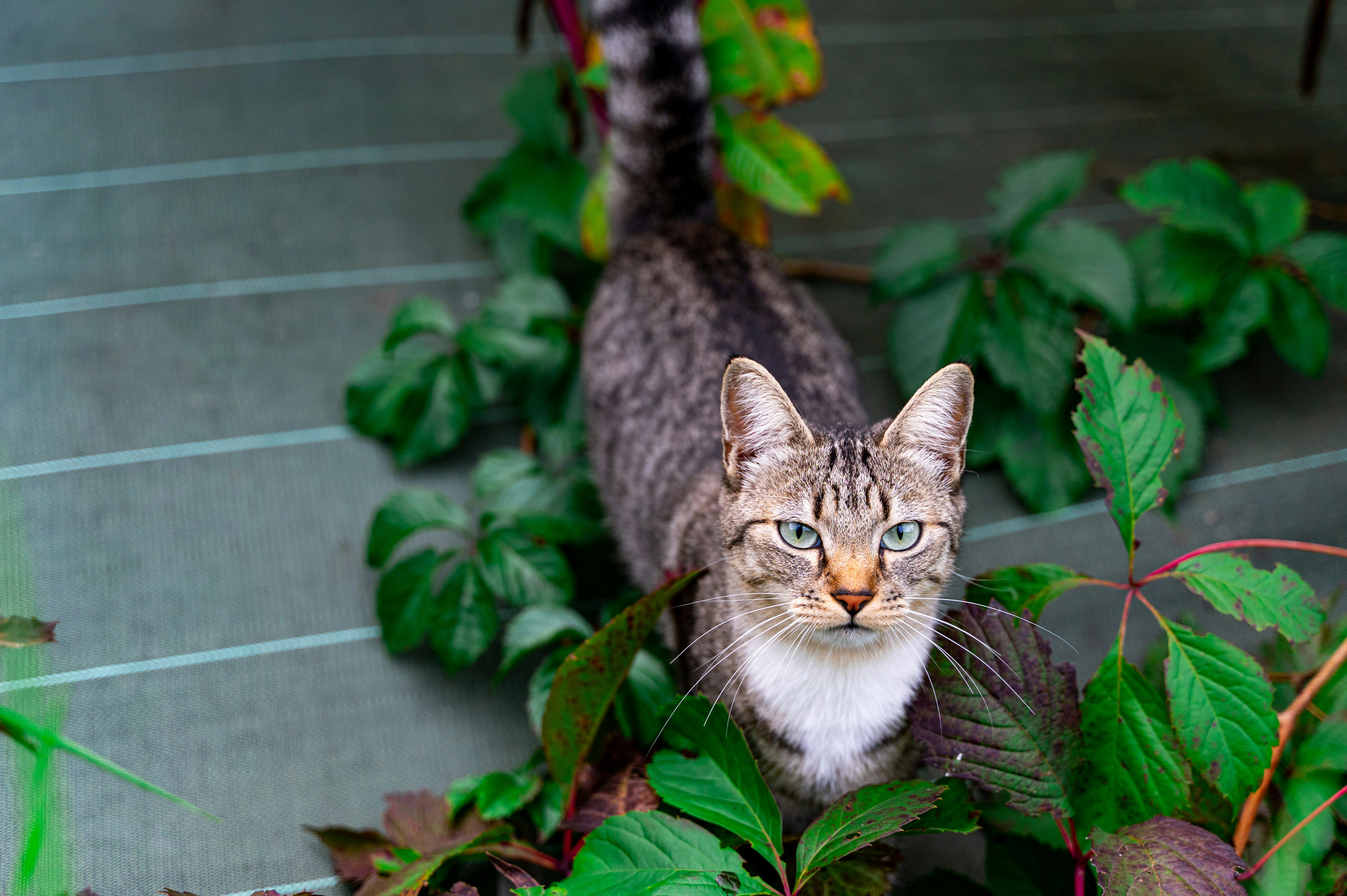 Photo by andreasbrun