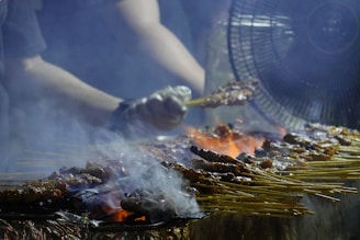 The Definite Guide to Hawker Centres in Singapore sate grilling