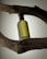 A bottle of Hugo Boss perfume is balanced horizontally between two dark, textured tree branches. The bottle is translucent with a greenish hue, and the branding is clearly visible on its surface. The background is a soft gradient, enhancing the earthy and natural contrast of the setup.