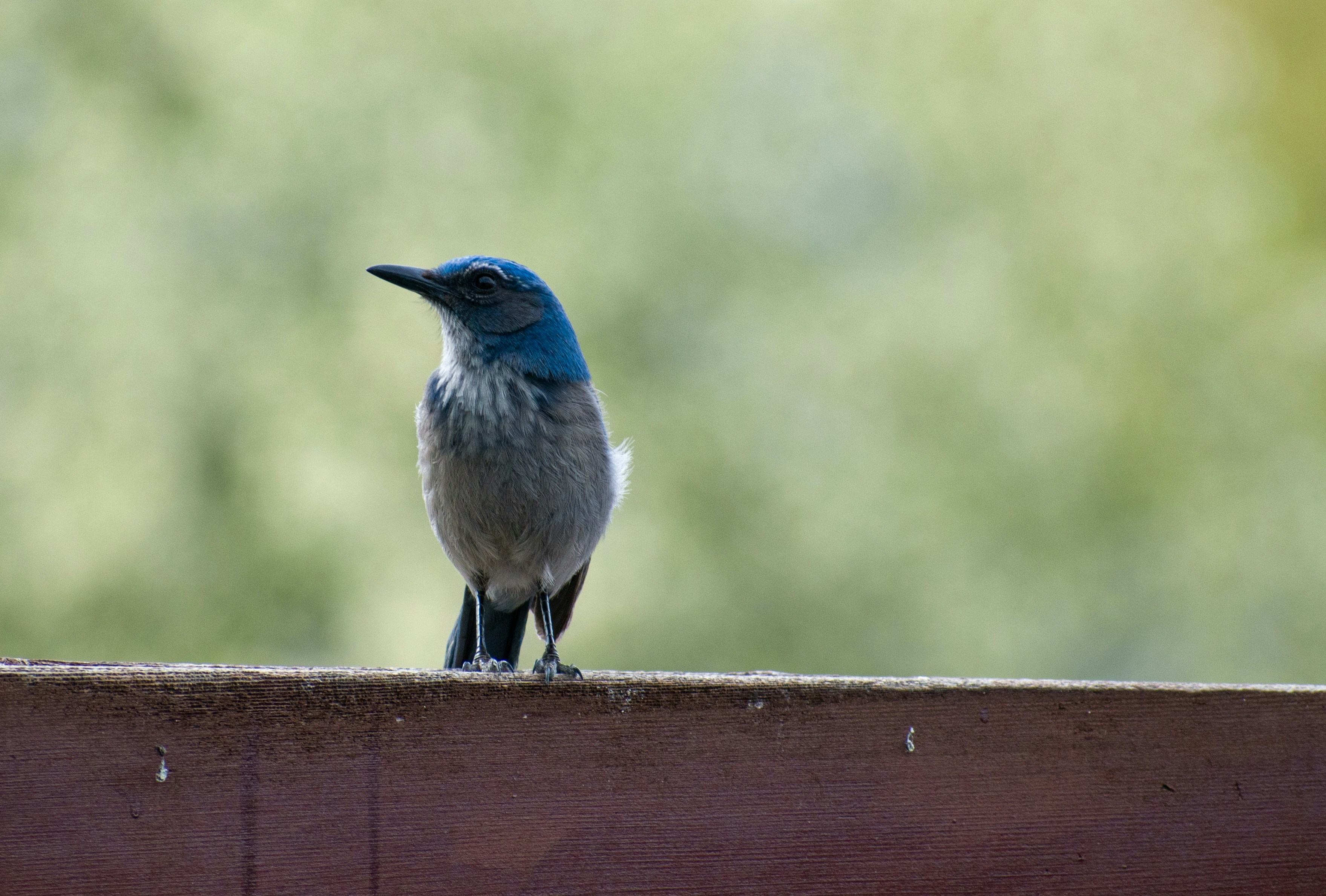 Photo by judd_nichols