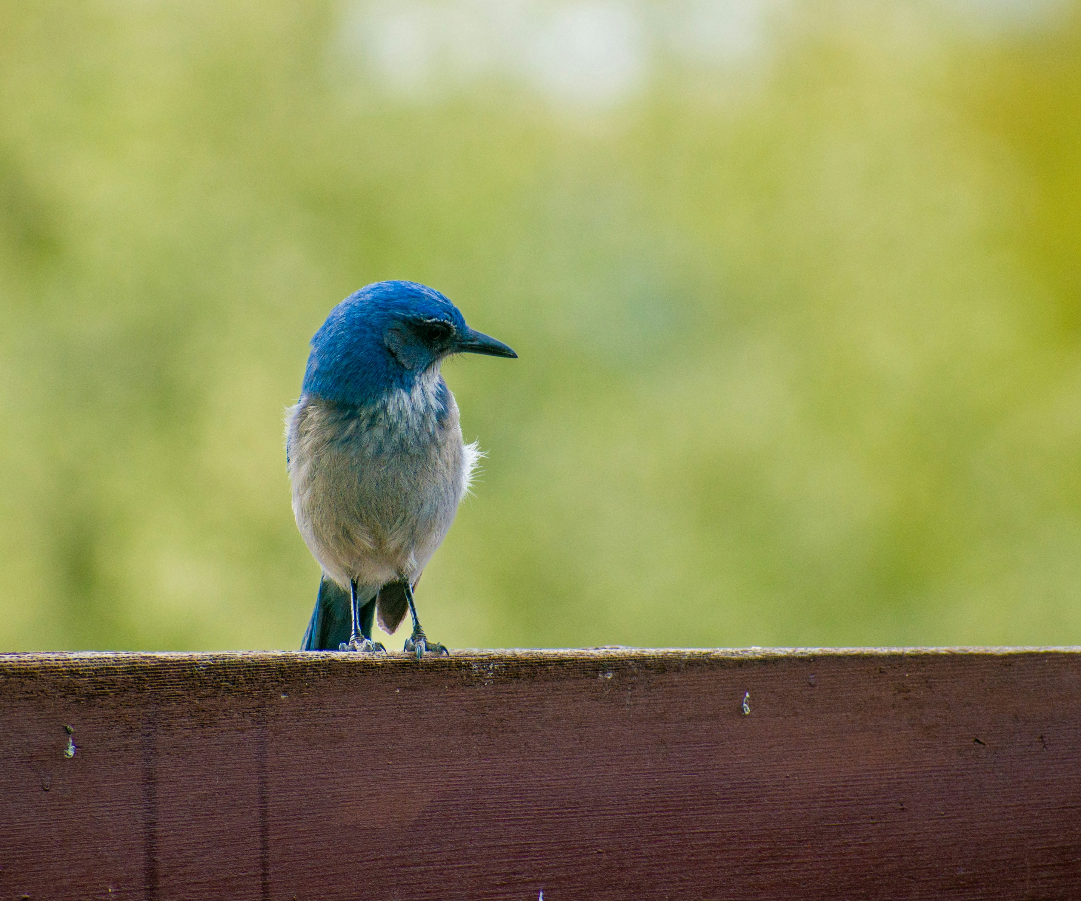 Photo by judd_nichols