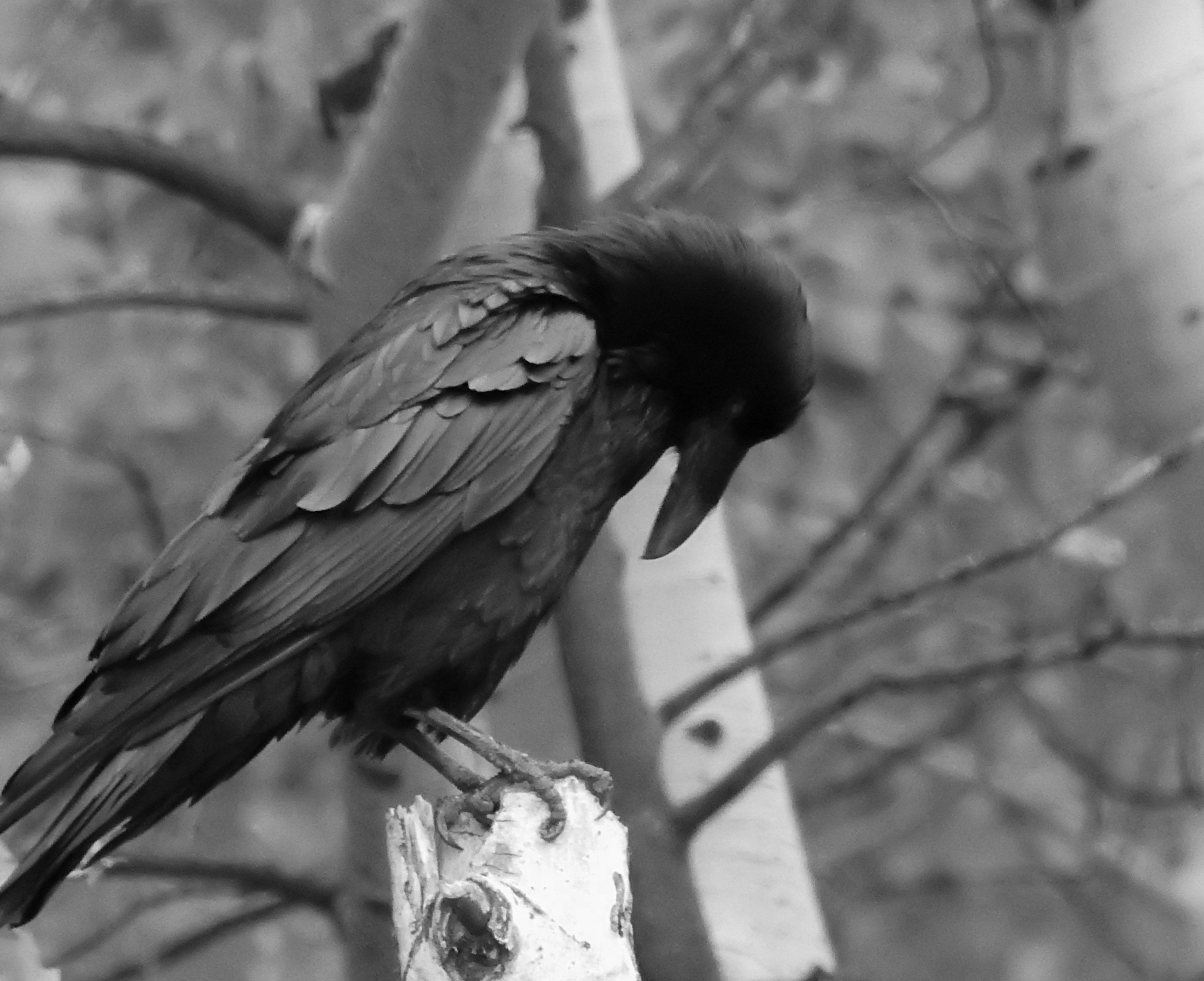 Photo by judd_nichols