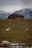 A rustic stone cottage with a moss-covered roof is situated in a vast field. Sheep graze peacefully on the grass, and snow-capped mountains rise in the background under a cloudy sky.