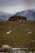 A rustic stone cottage with a moss-covered roof is situated in a vast field. Sheep graze peacefully on the grass, and snow-capped mountains rise in the background under a cloudy sky.