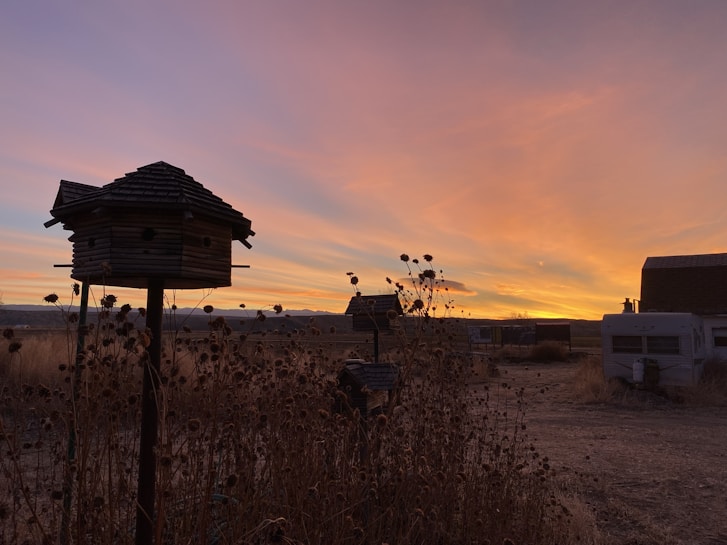 A serene rural landscape at sunset with a wooden birdhouse set against a vibrant sky of warm hues. Silhouettes of dried plants in the foreground add to the rustic charm. In the background, there are a few buildings and RVs, suggesting an outdoor setting.