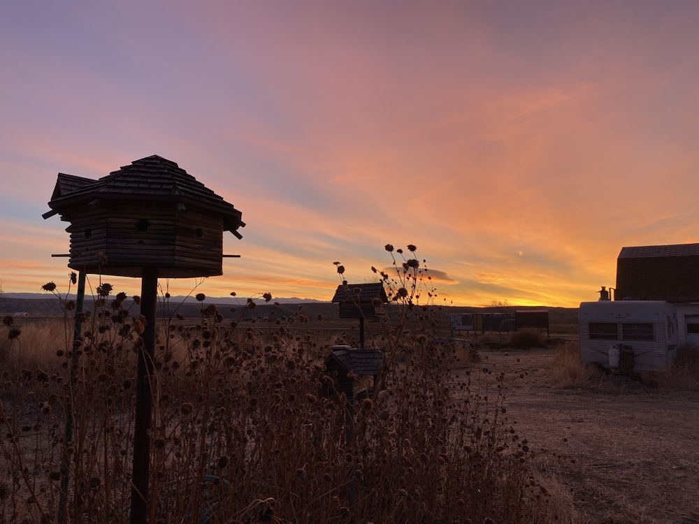 a bird house sitting in the middle of a field