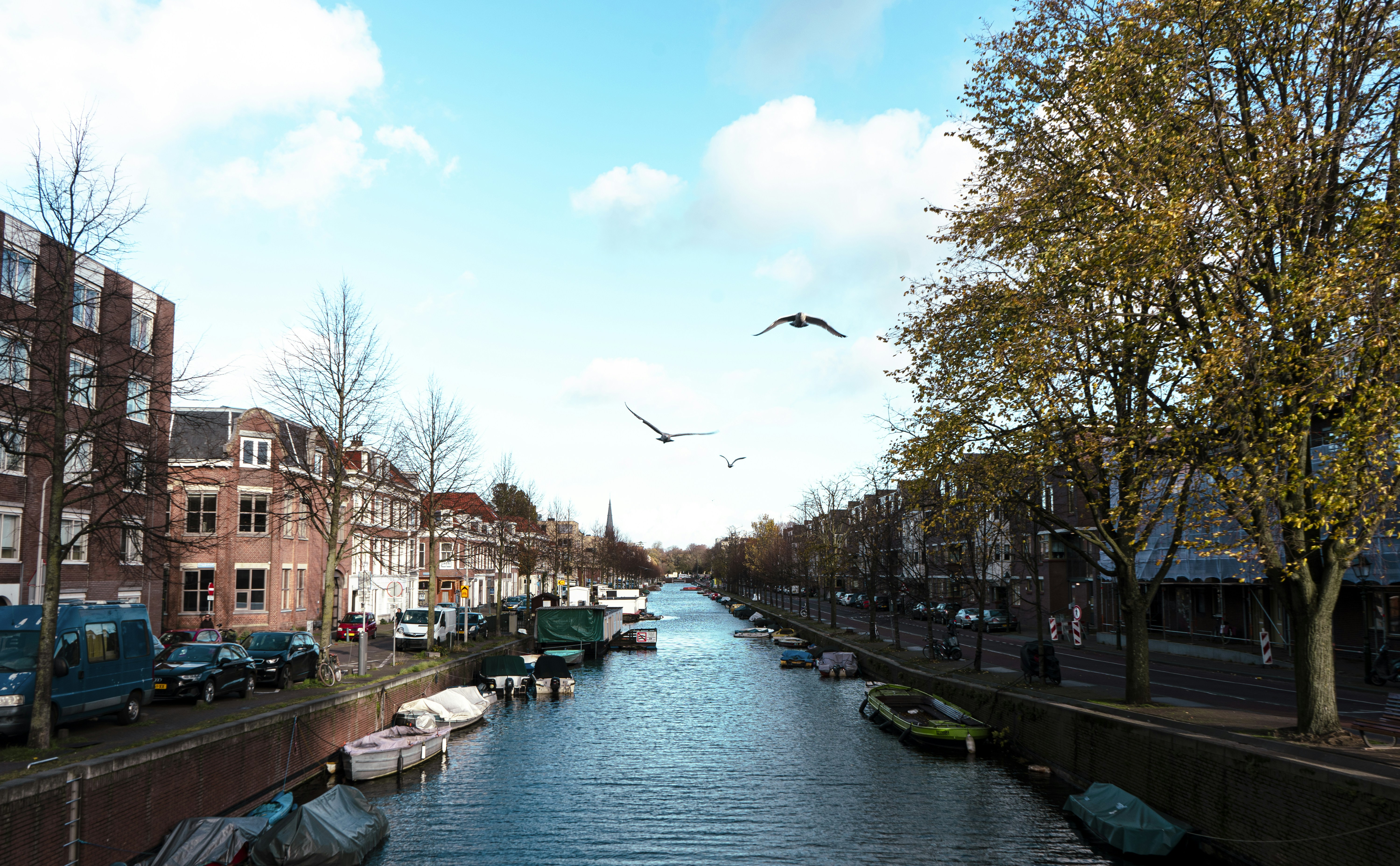 Photo by hassananayi