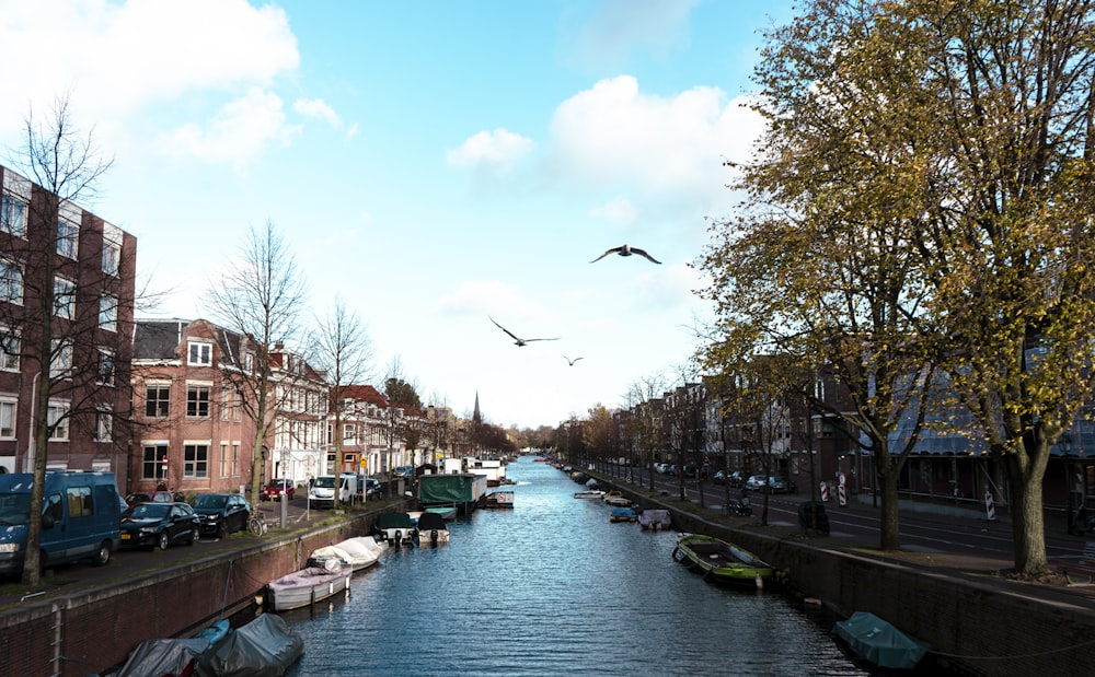 Un río que atraviesa una ciudad junto a edificios altos