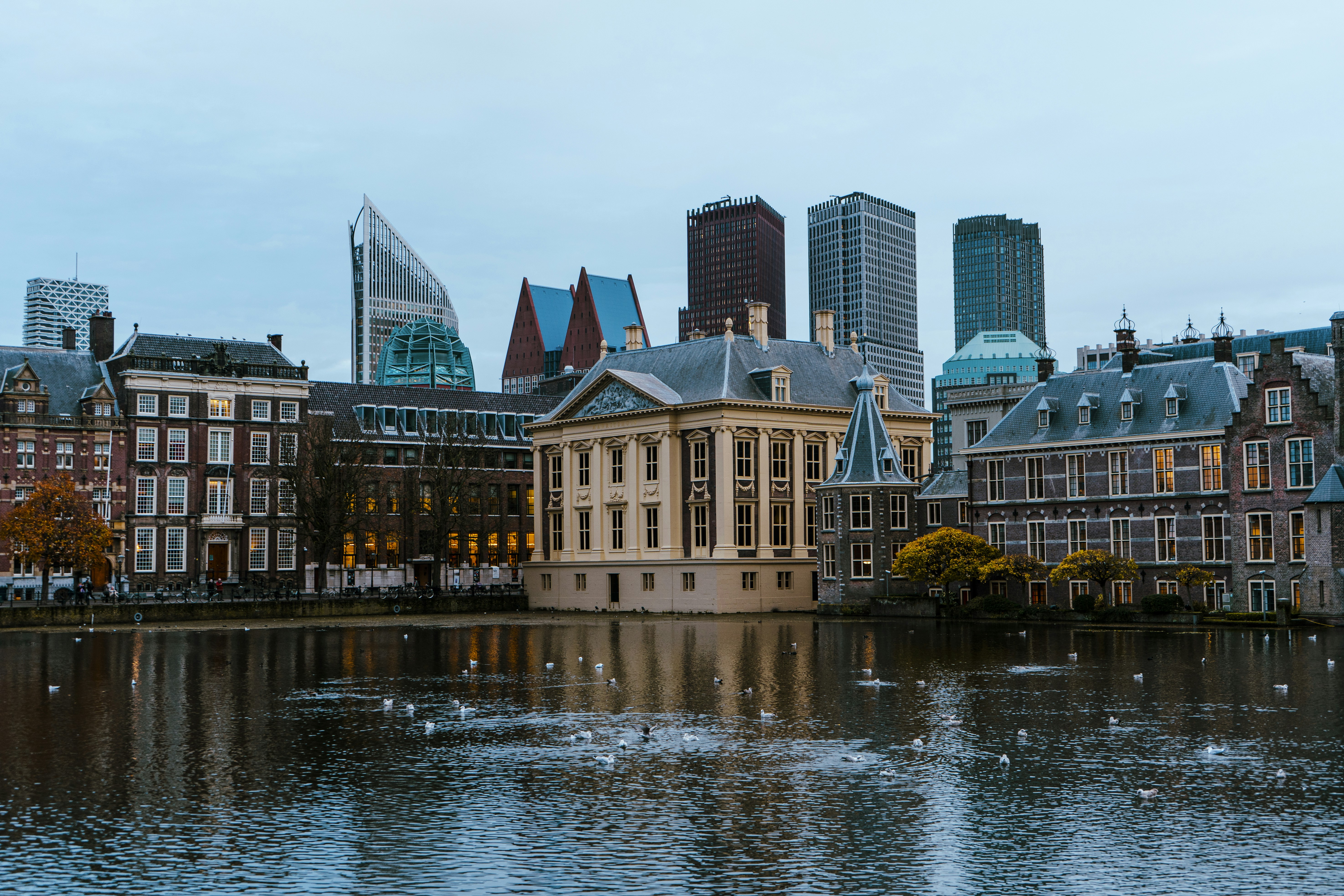 Photo by hassananayi