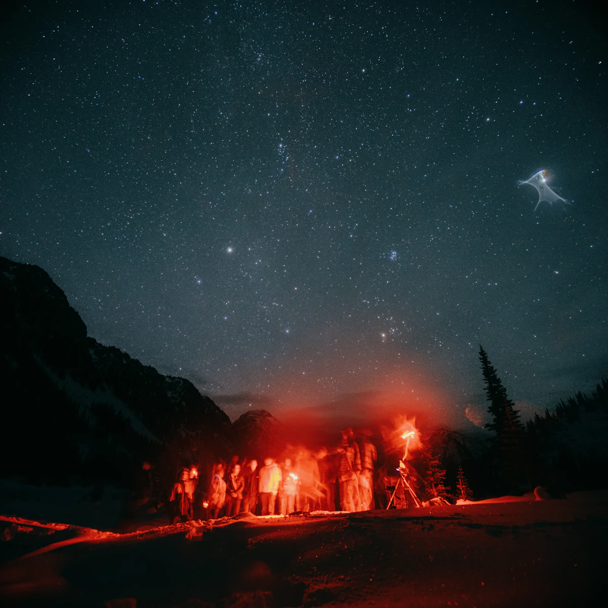 Bonfire Nights