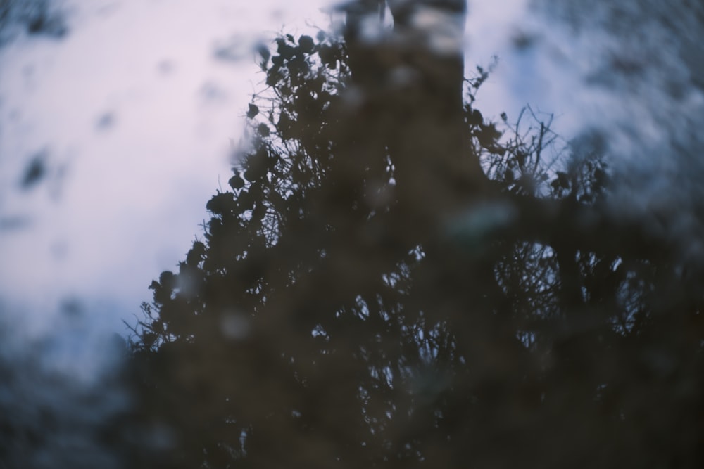 a reflection of a clock tower in a puddle of water