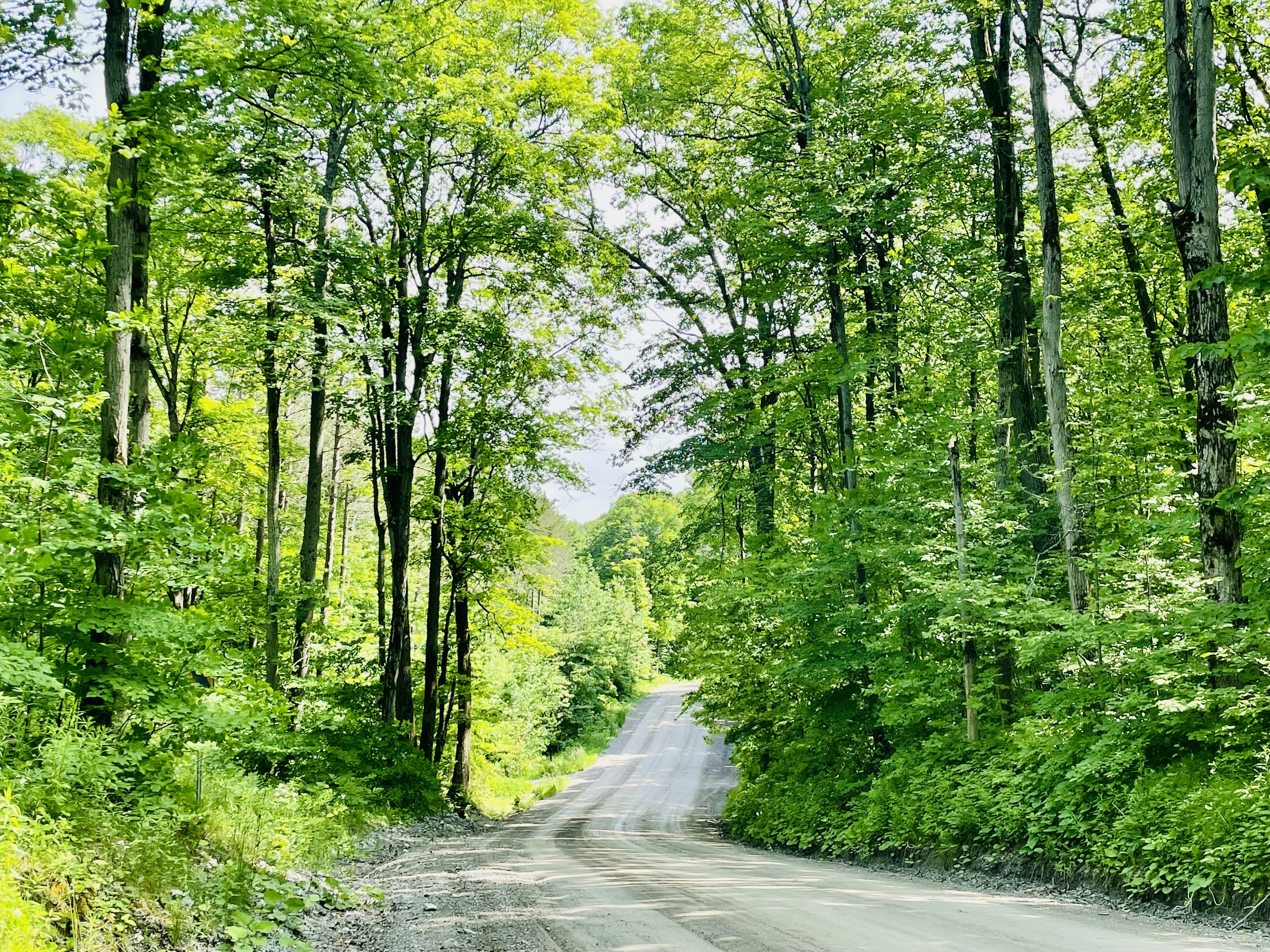 Photo by qureshicaputures