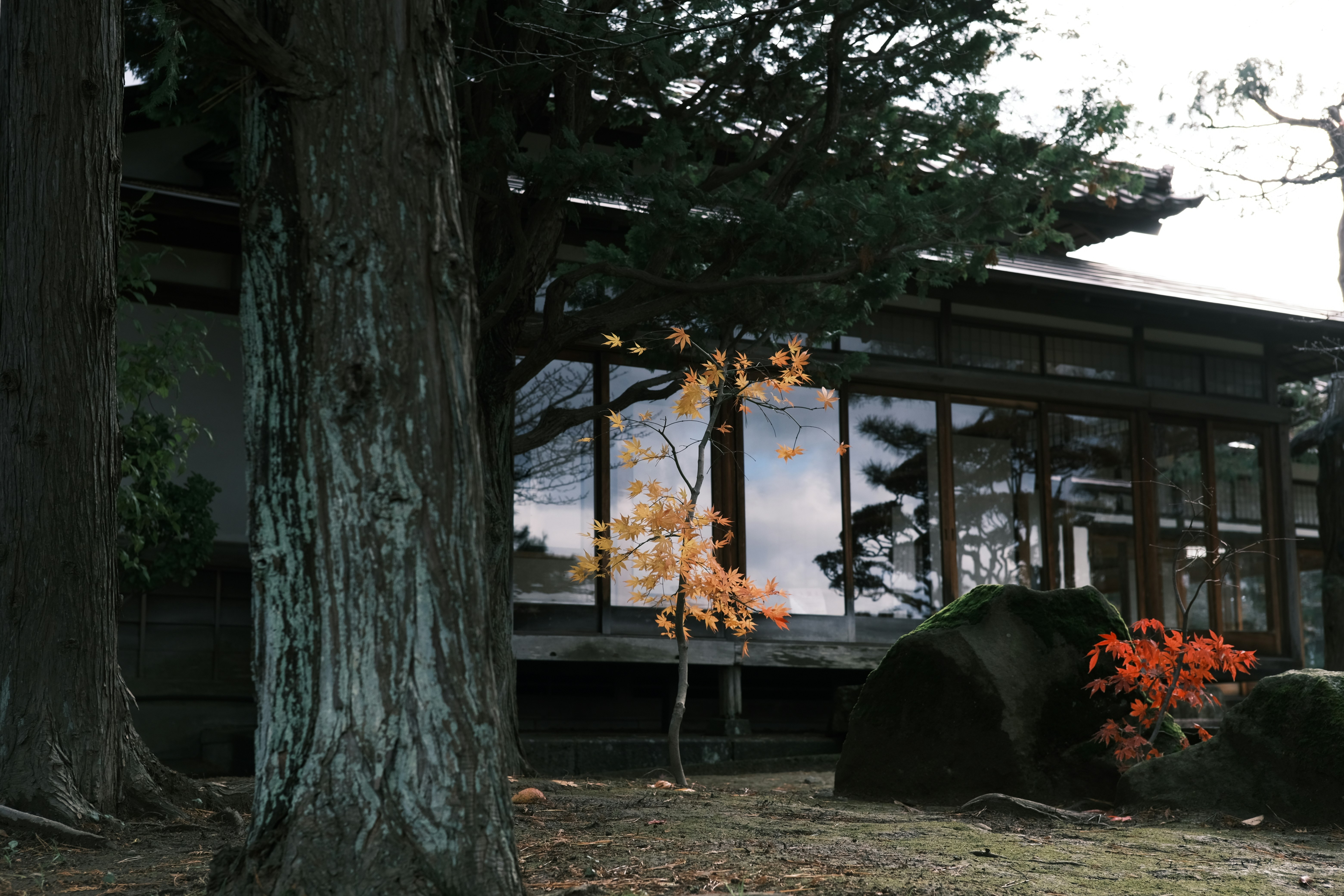 Photo by seiya_maeda